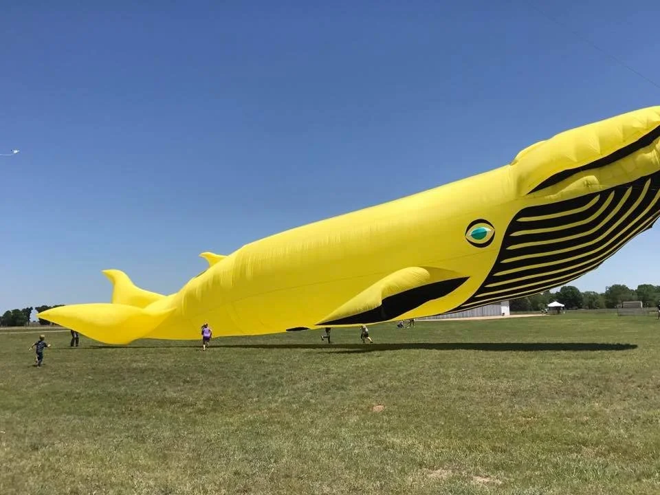 Great American Kites Festival at Lu-Ray Park Central City Kentucky