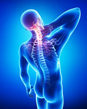 All About the neck image.png