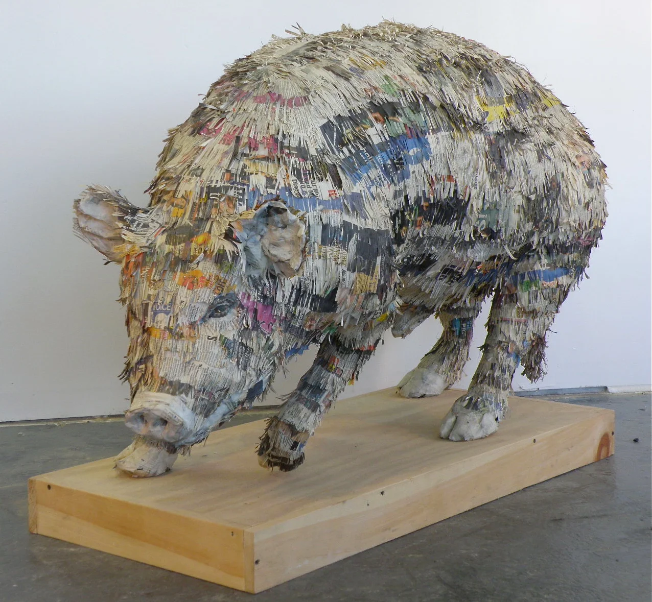 Pig