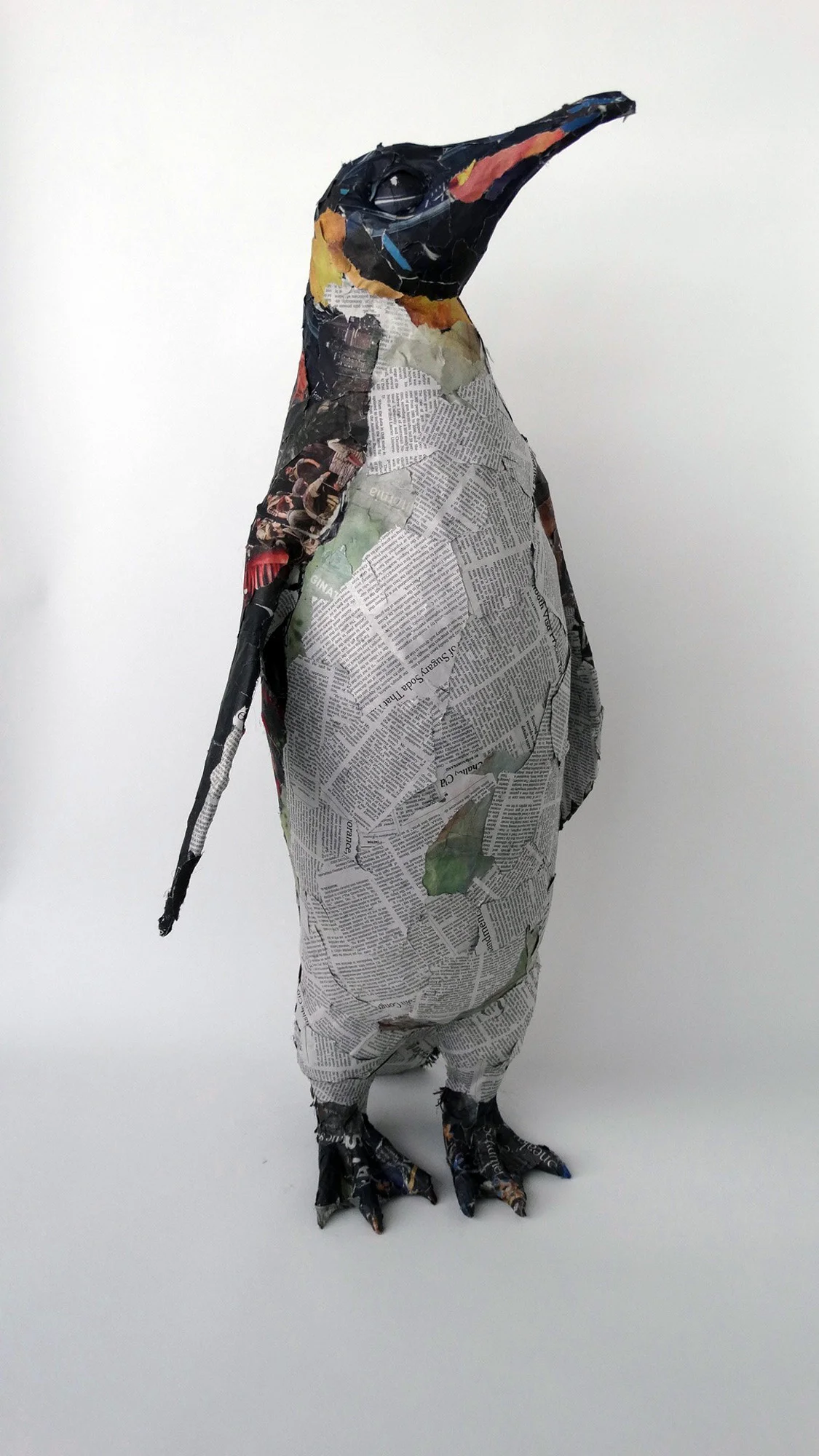 King Penguin