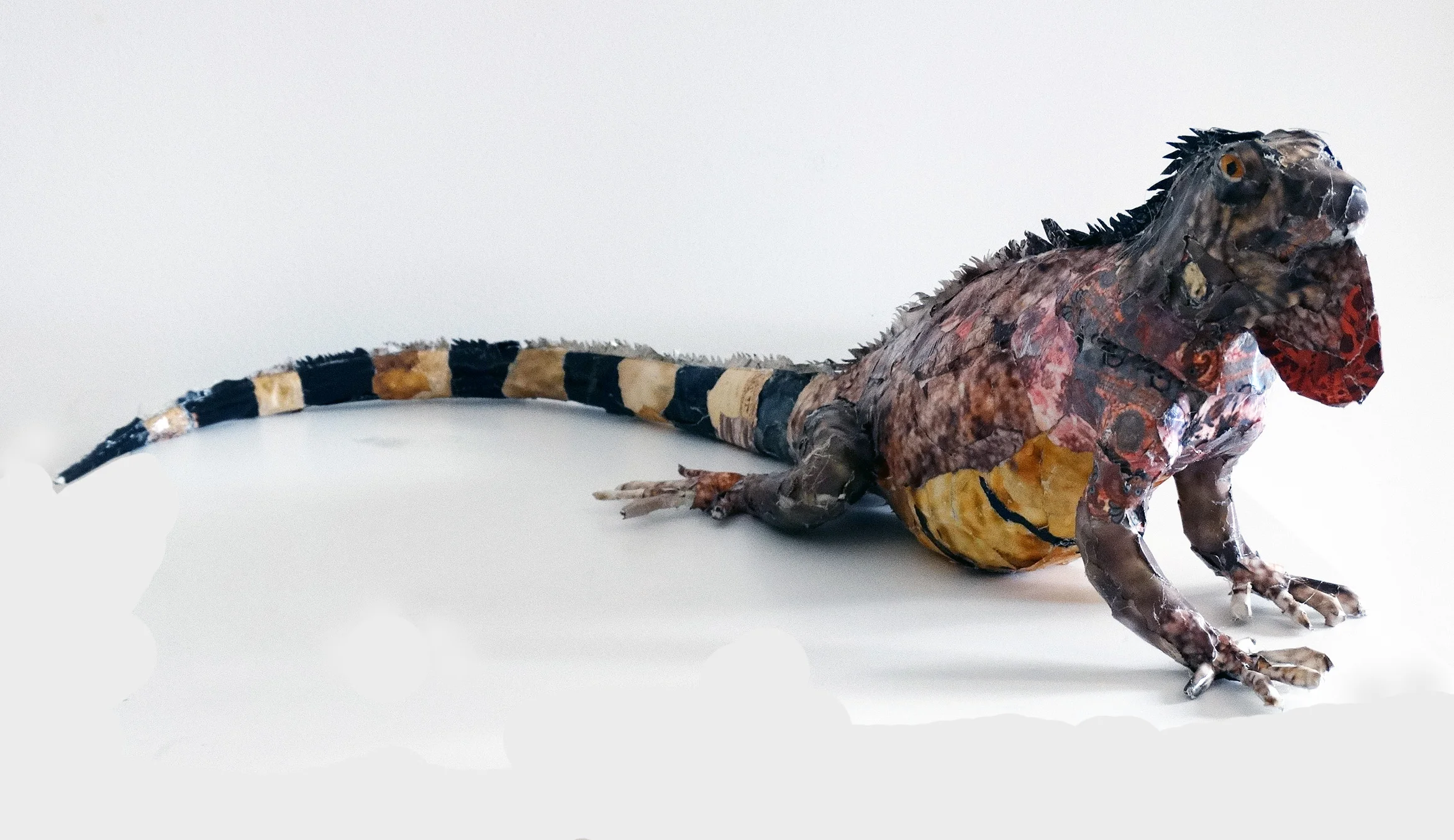 Pink Iguana