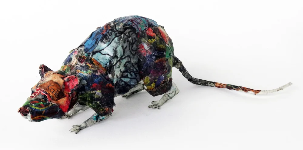 Rat