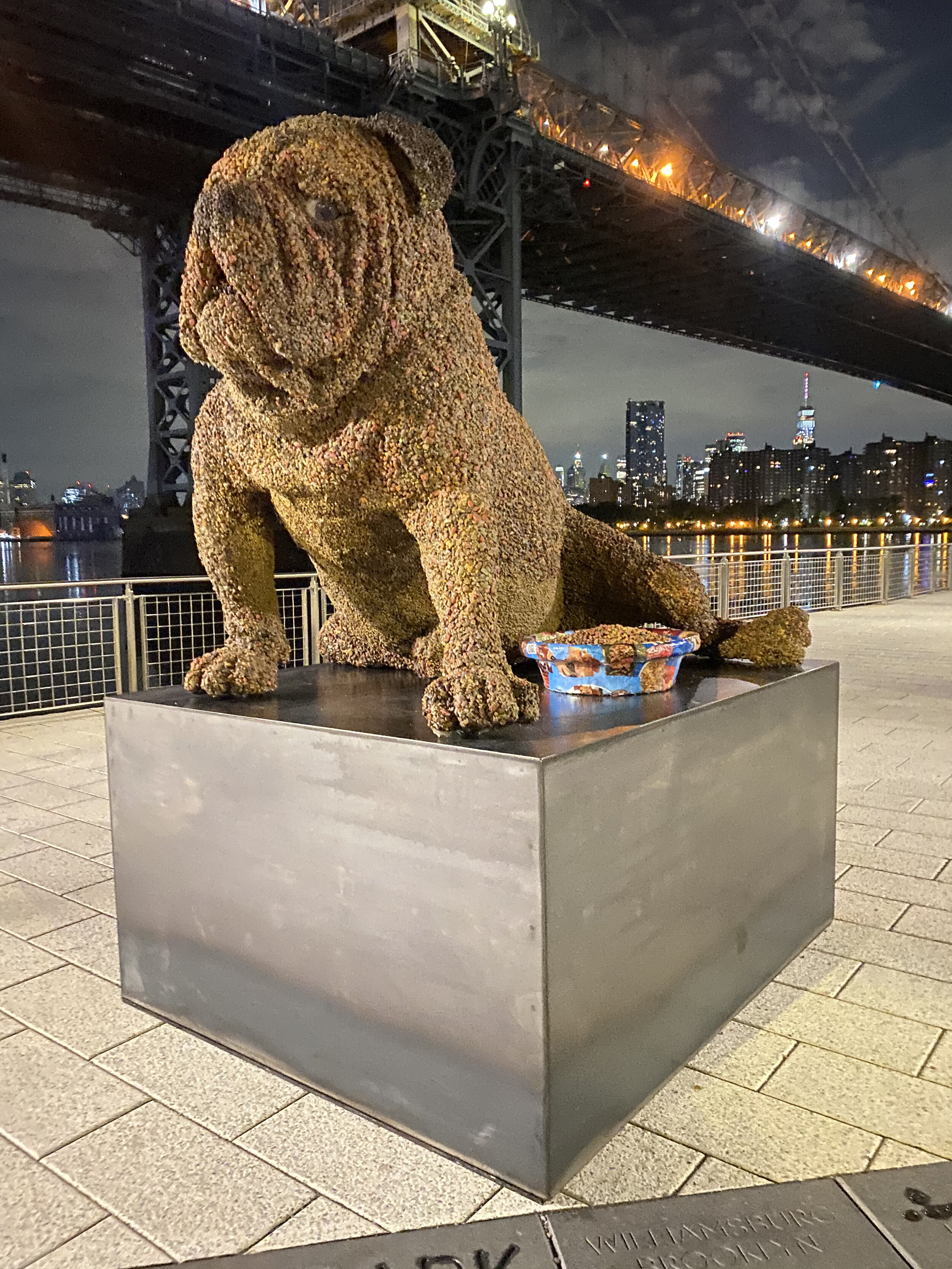 One Sad Kibble Bulldog