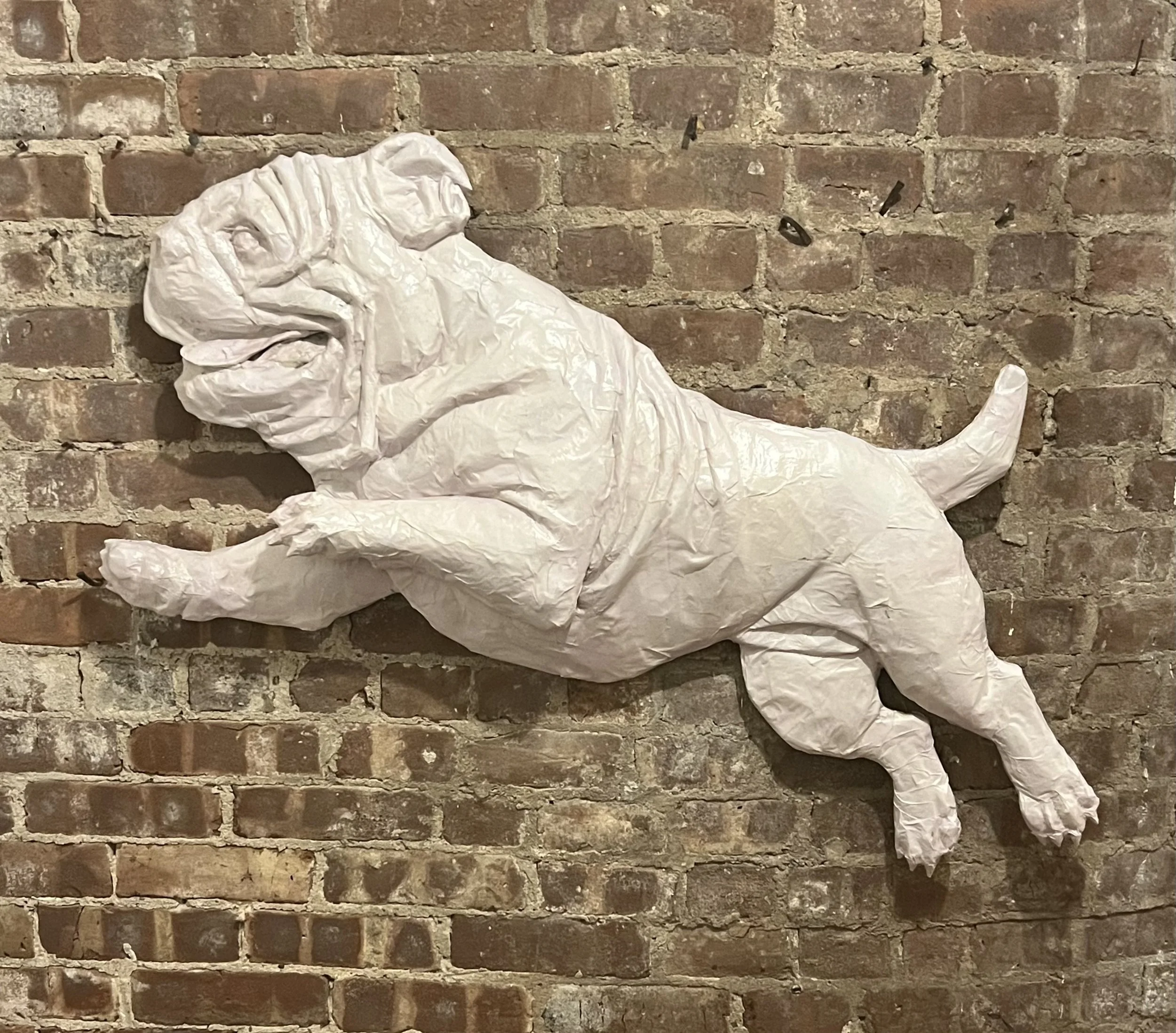 English Bulldog relief