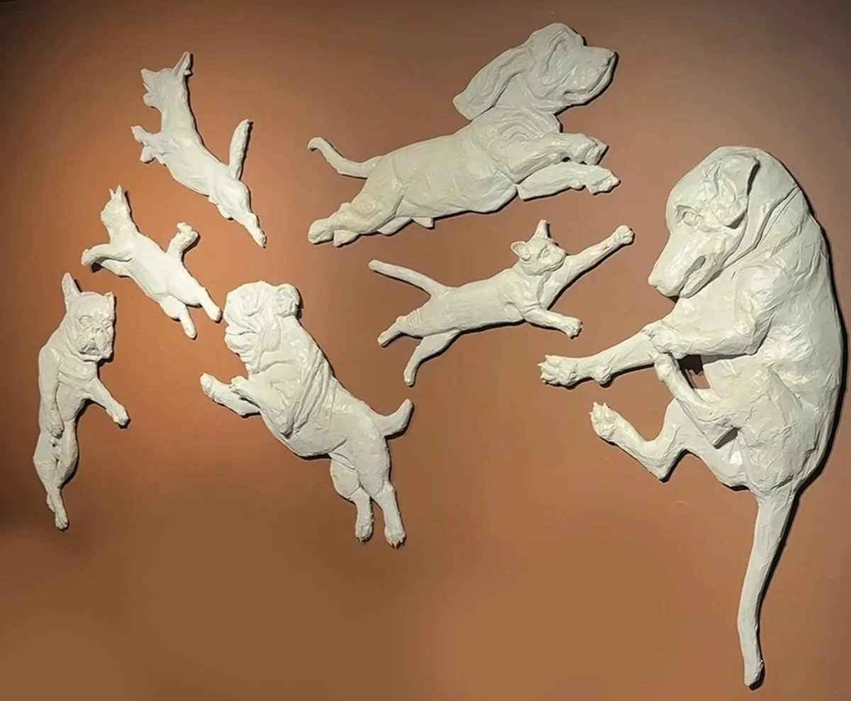 Flying Dogs and Cats