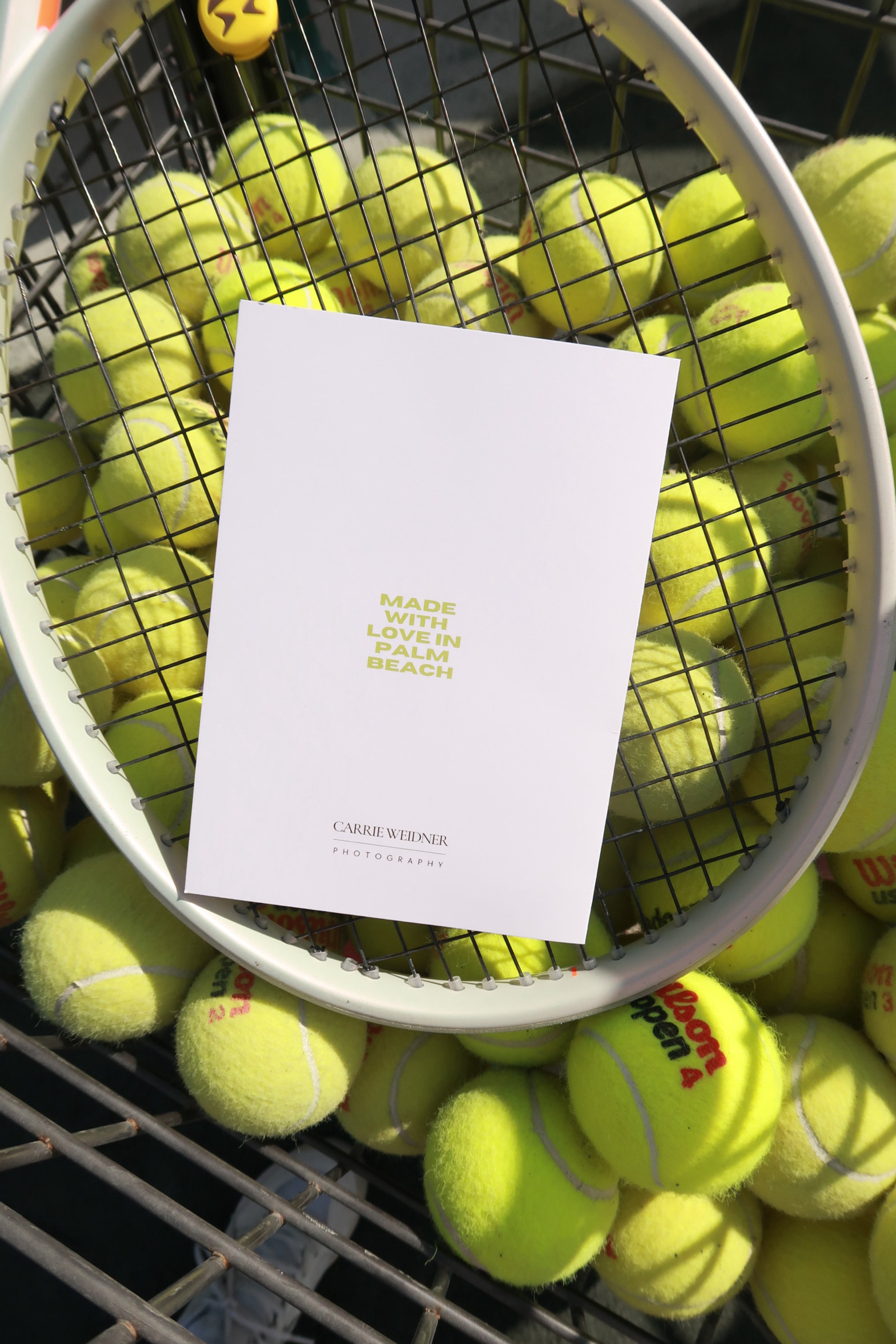 Photo Jan 07 2026, 12 41 06 AM.jpg