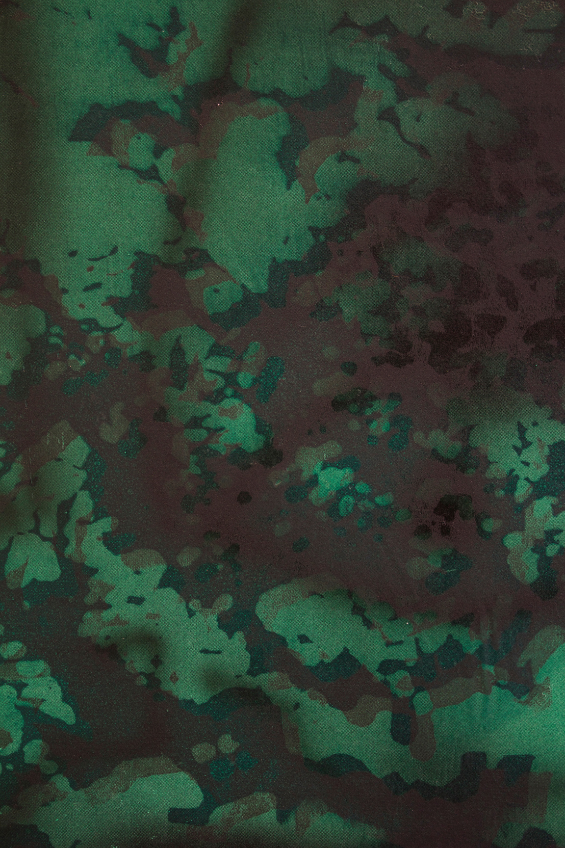 Noor Jehan and Ursula (detail), 2014 Acrylic, toner and screen print on canvas 27 x 40 inches