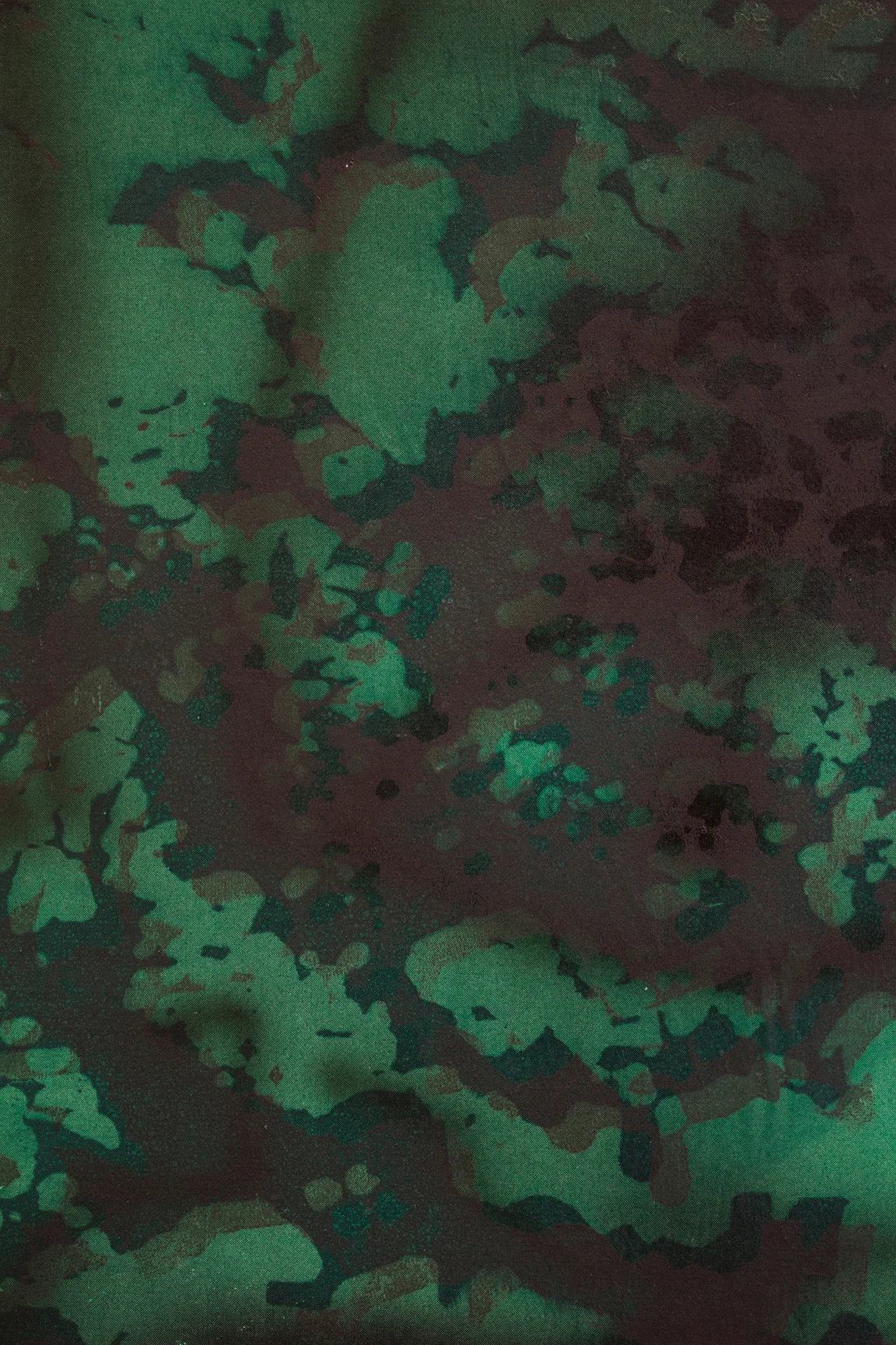 Noor Jehan and Ursula (detail), 2014 Acrylic, toner and screen print on canvas 27 x 40 inches