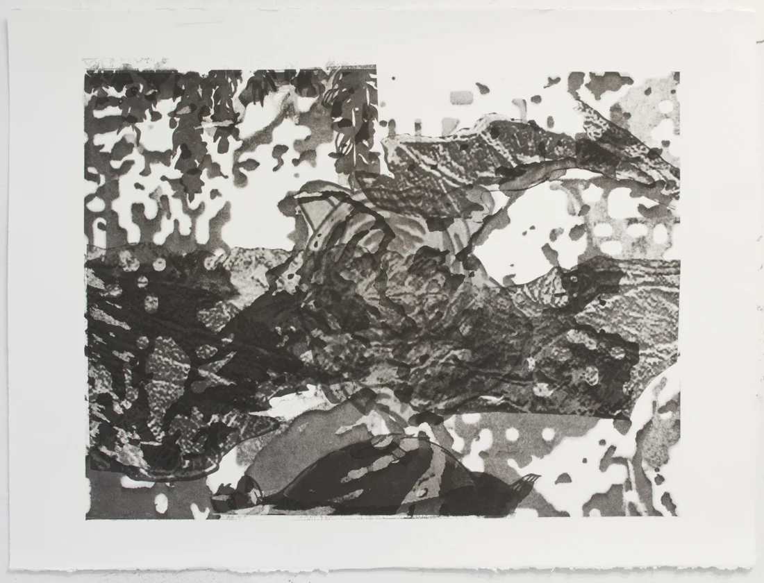 Untitled, 2013 Wintergreen oil Monotype on paper 22 x 30 inches