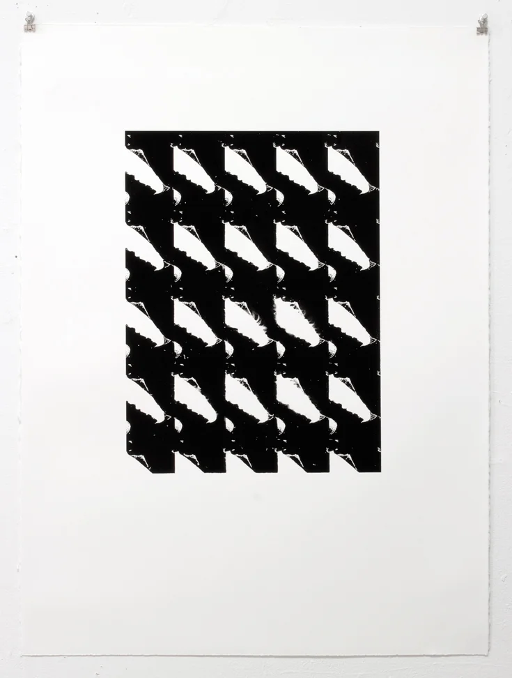 Untitled, 2012 1 Color Screenprint on paper 22 x 30 inches