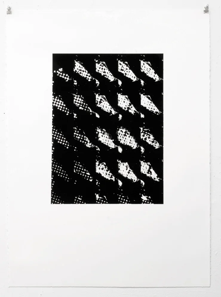 Untitled, 2012 1 Color Screenprint on paper 22 x 30 inches