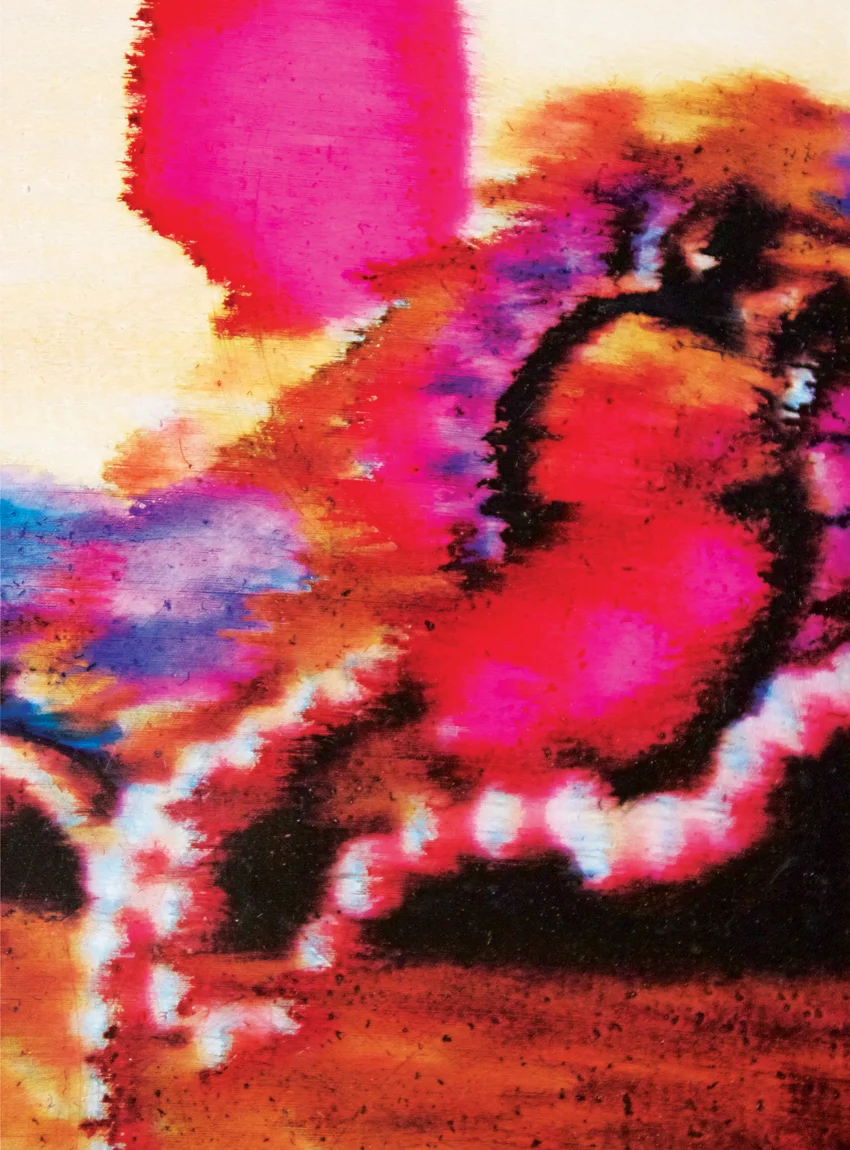 Carpet (detail), 2012 Acrylic and inkjet on paper 22 x 30 inches