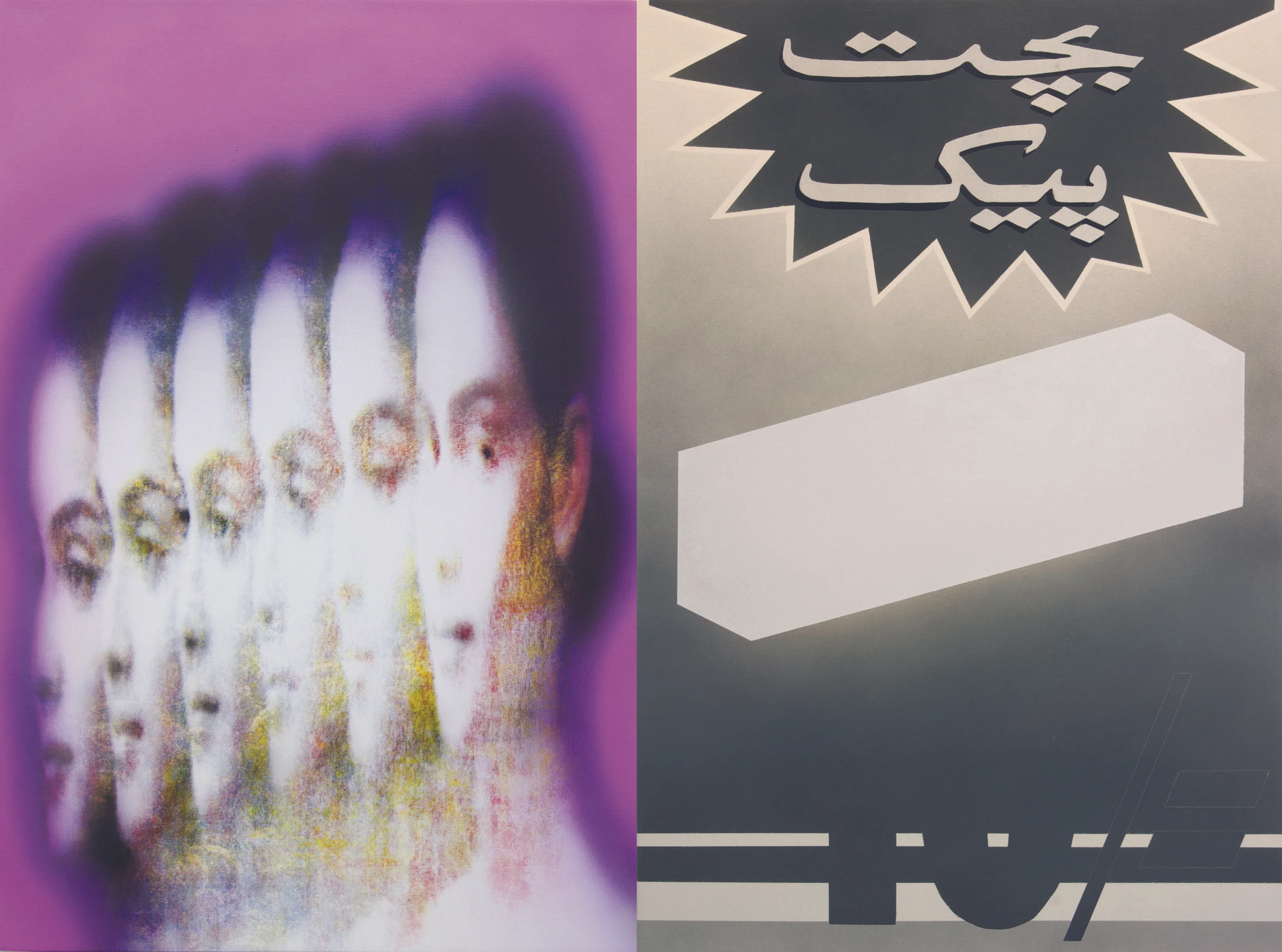 Fair & Lovely and English, 2014 Acrylic and screen print on canvas 40 x 54 inches