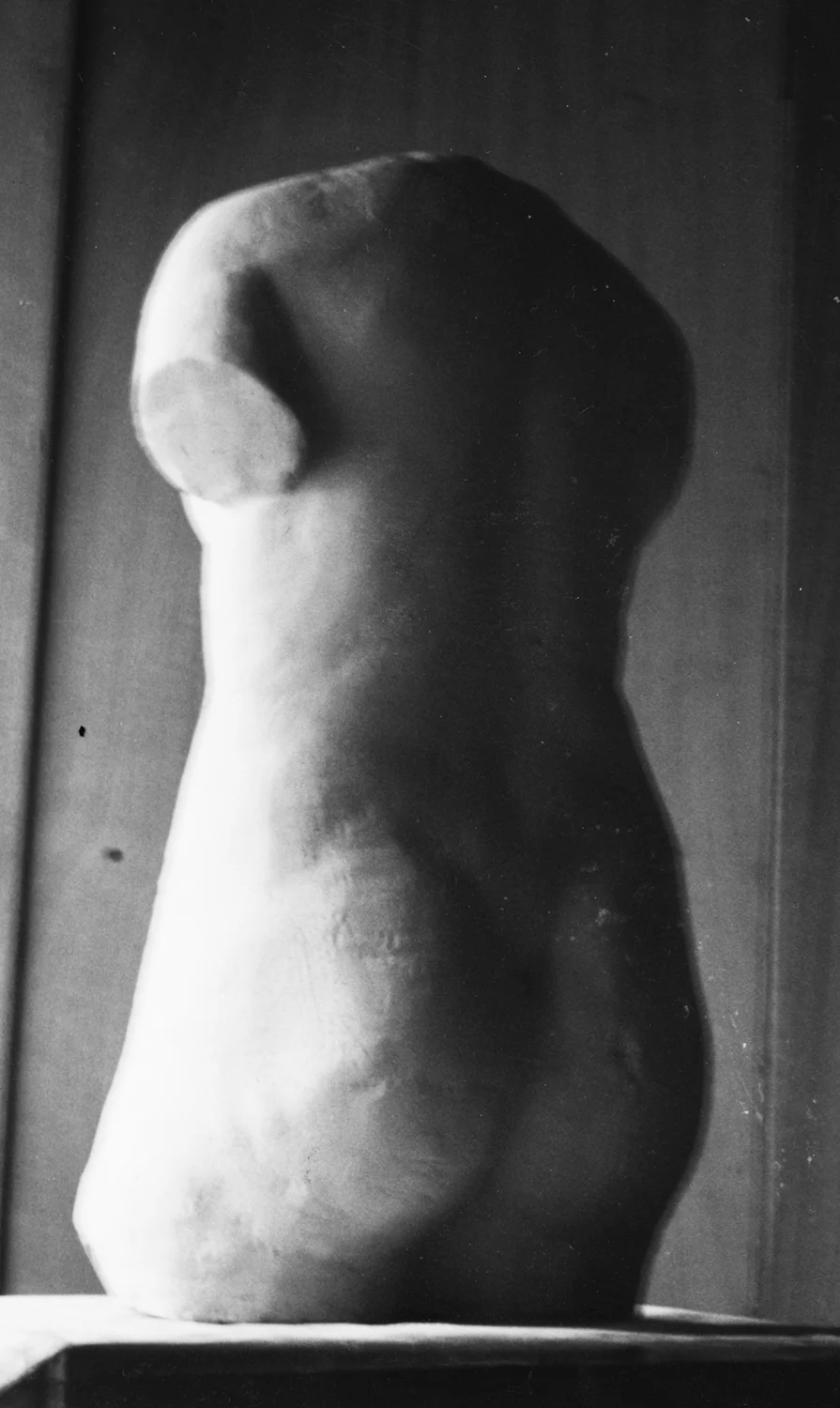 Aphrodite-Torso-Back.jpg