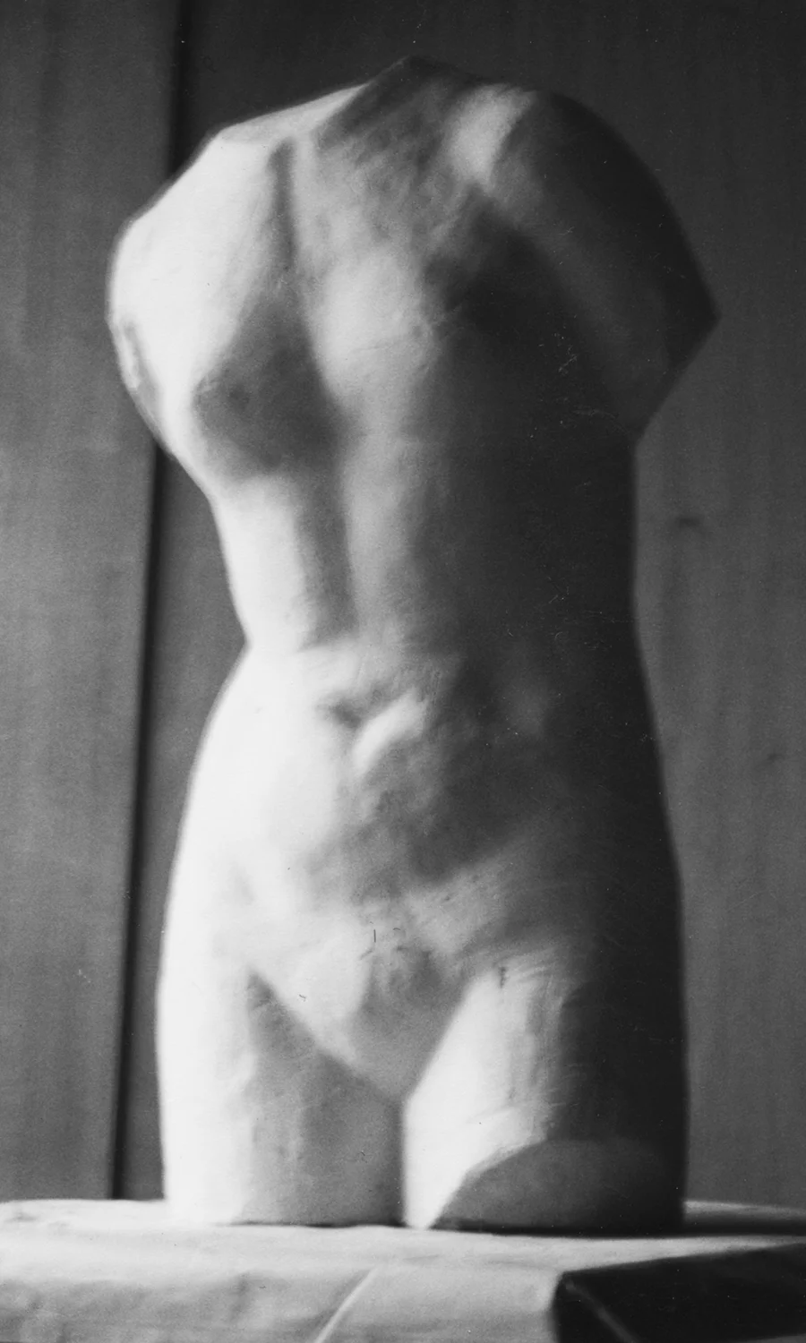 Aphrodite Torso (Plaster)
