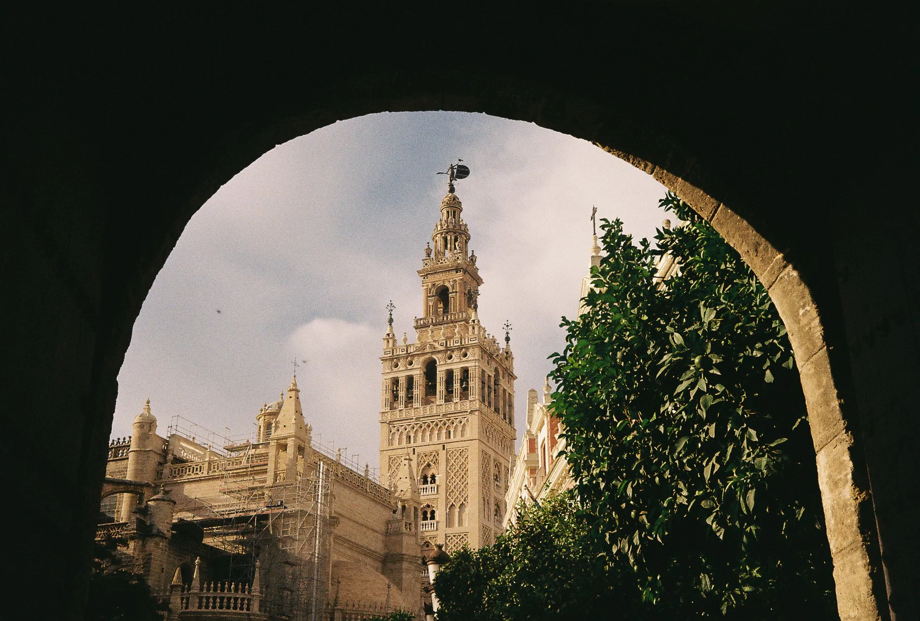 0006517_0006517-R1-007-2.jpg