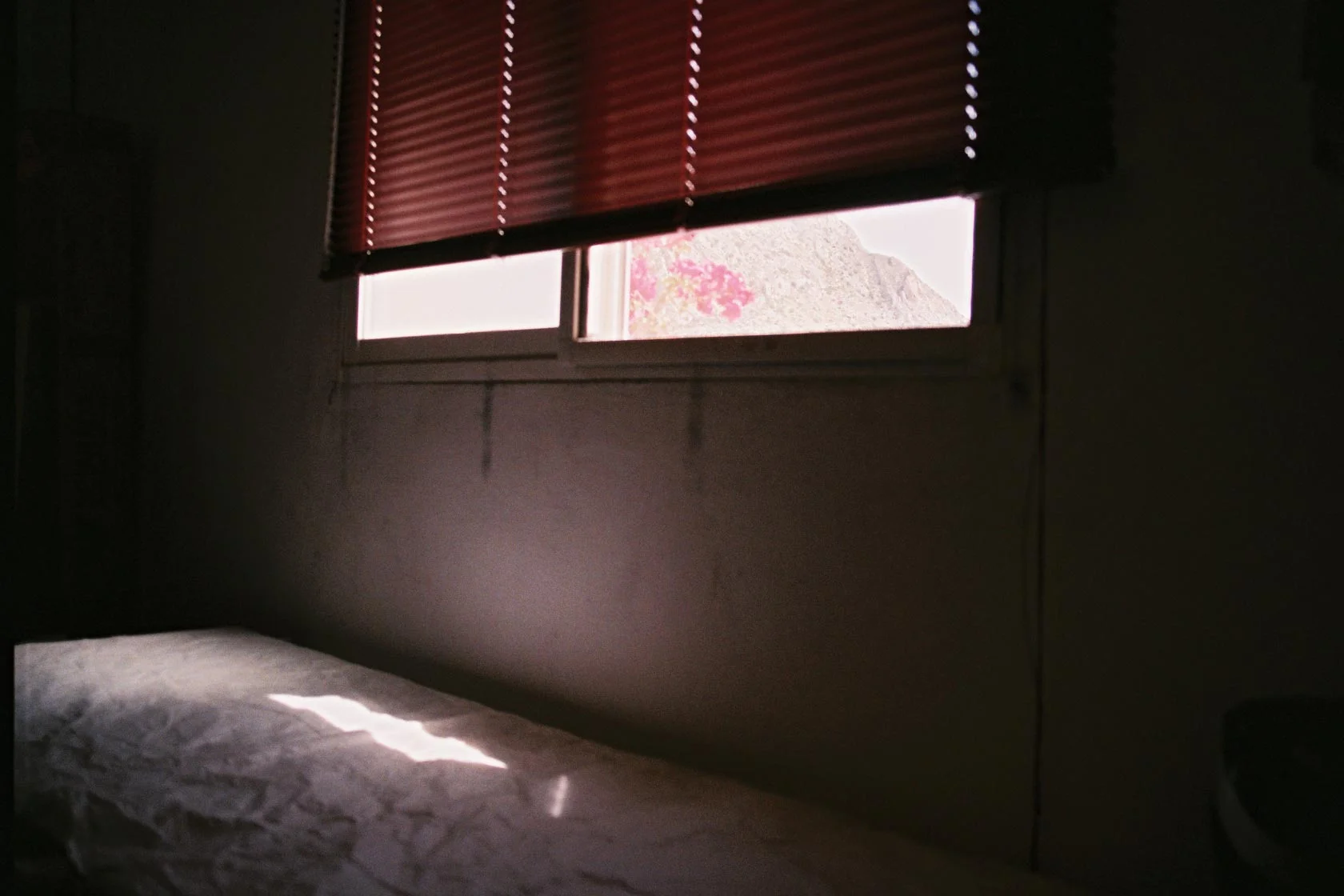 F1020012.jpg