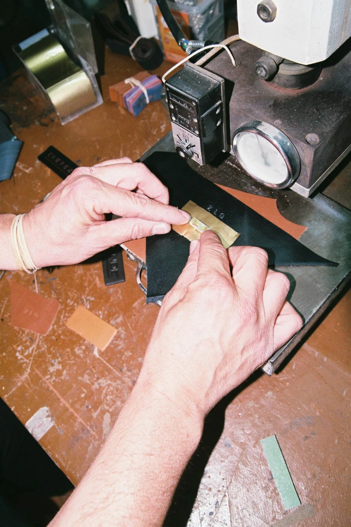 F1030022.jpg