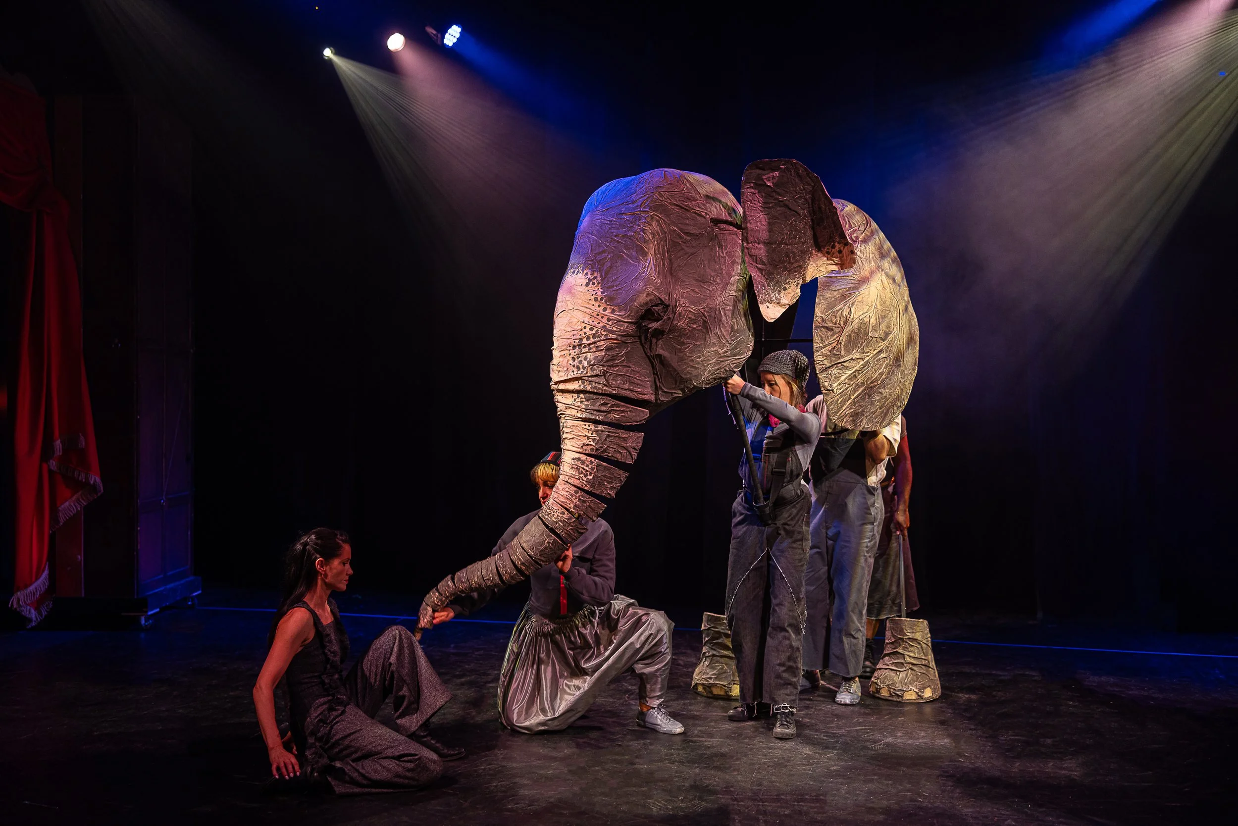 The Vanishing Elephant Cahoots-411.jpg
