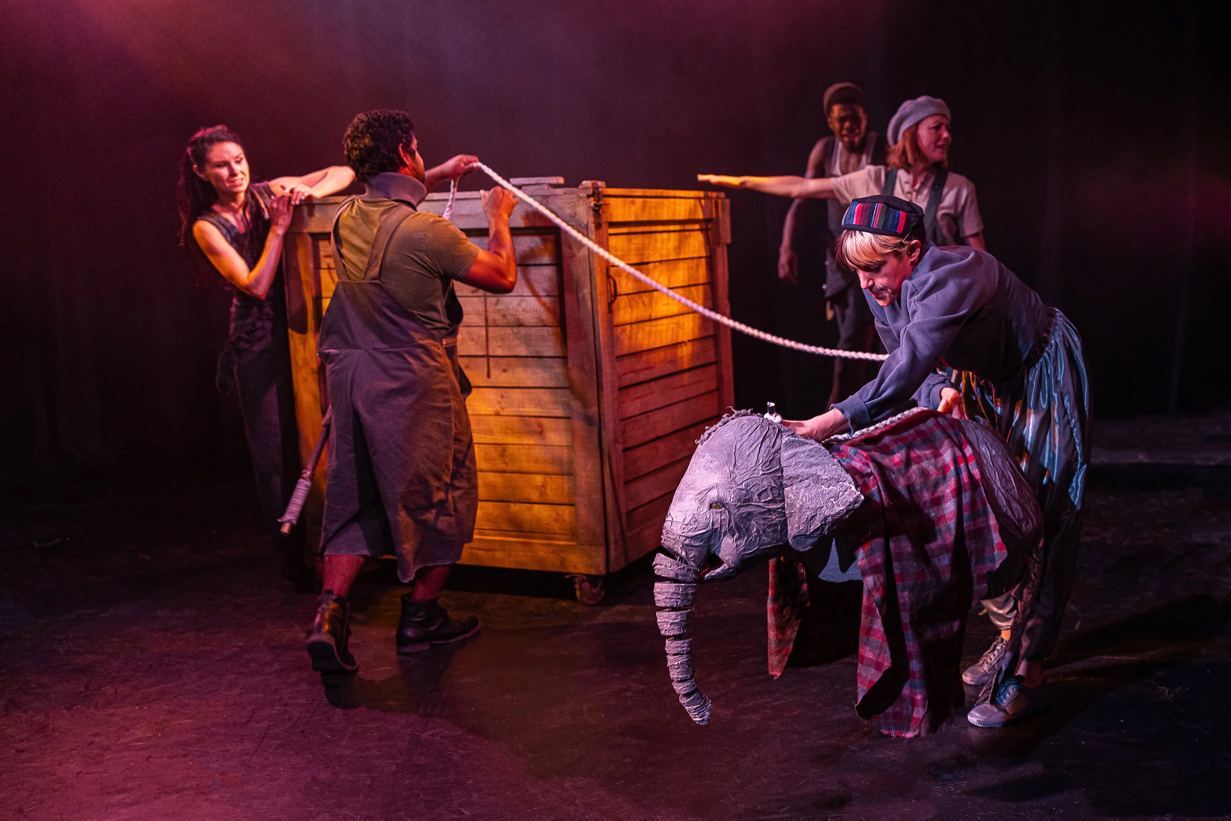 The Vanishing Elephant Cahoots-87.jpg