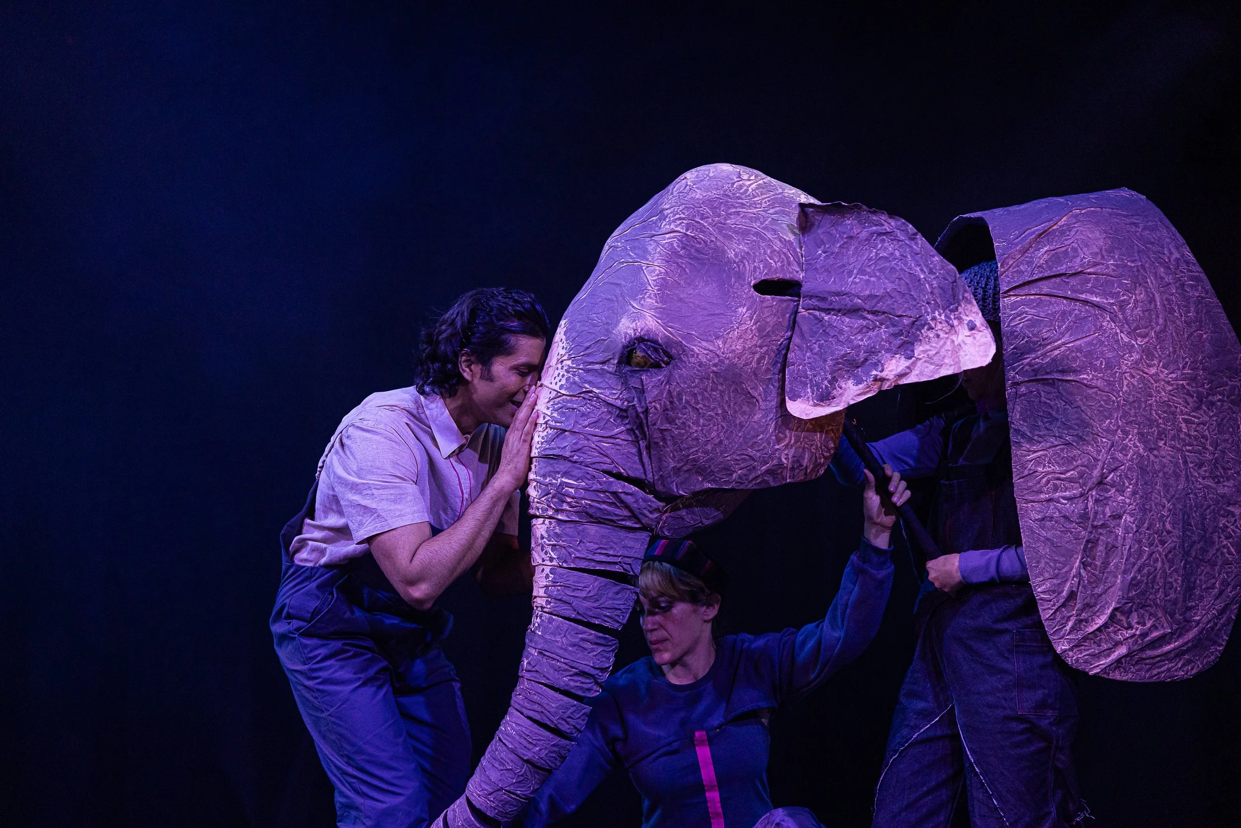 The Vanishing Elephant Cahoots-266.jpg