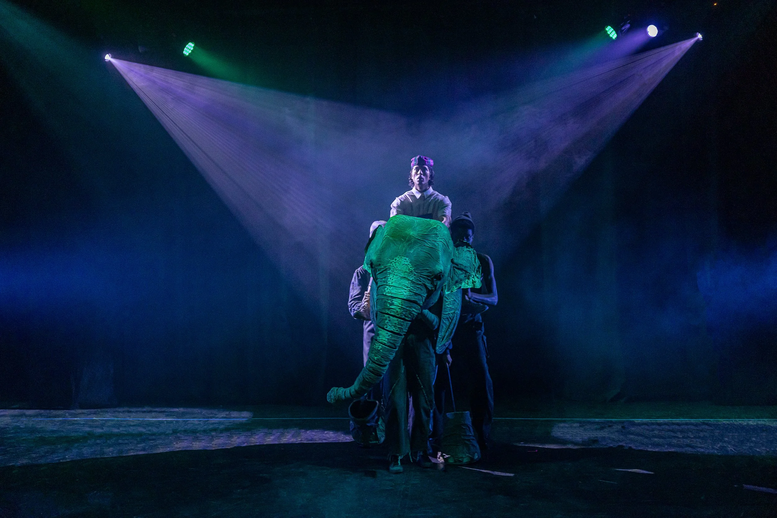 The Vanishing Elephant Cahoots-268.jpg