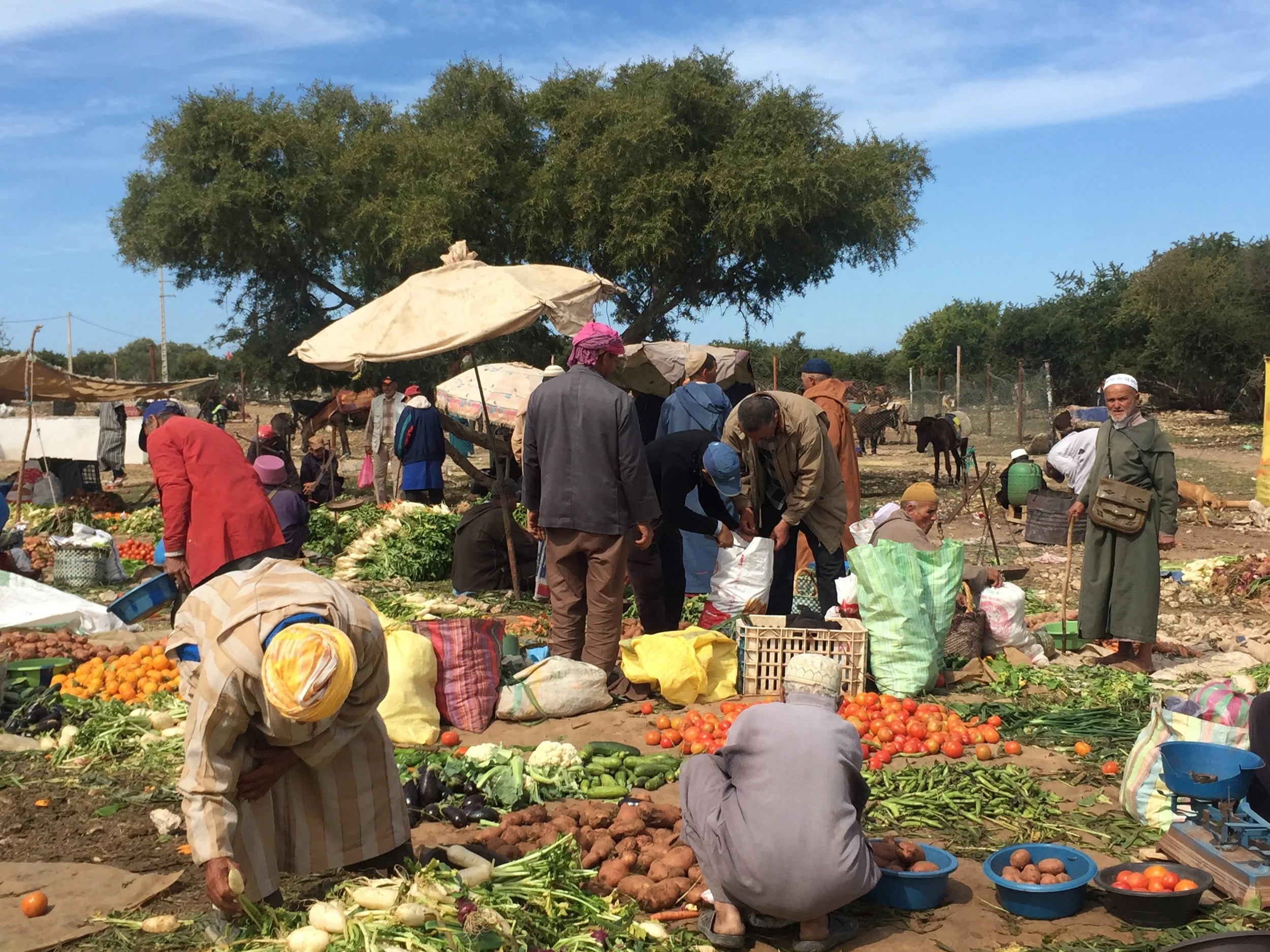 Local Farmers Market