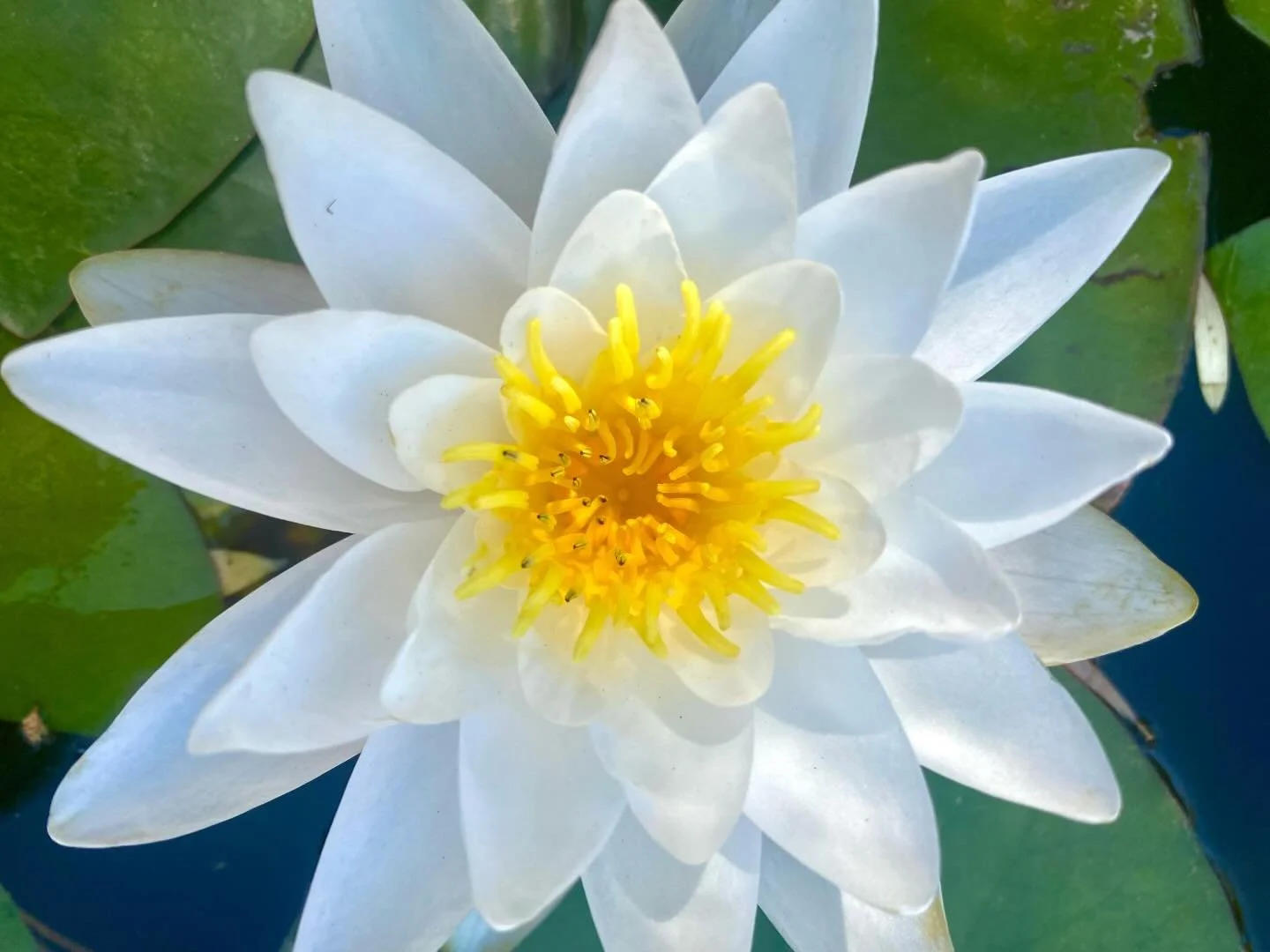 ⠀
Our new Spring/Summer collection is coming soon to The Fort ✌️❤️