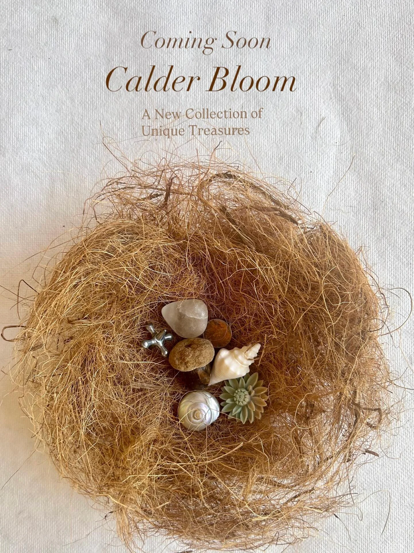 ⠀
Spring ✌️❤️