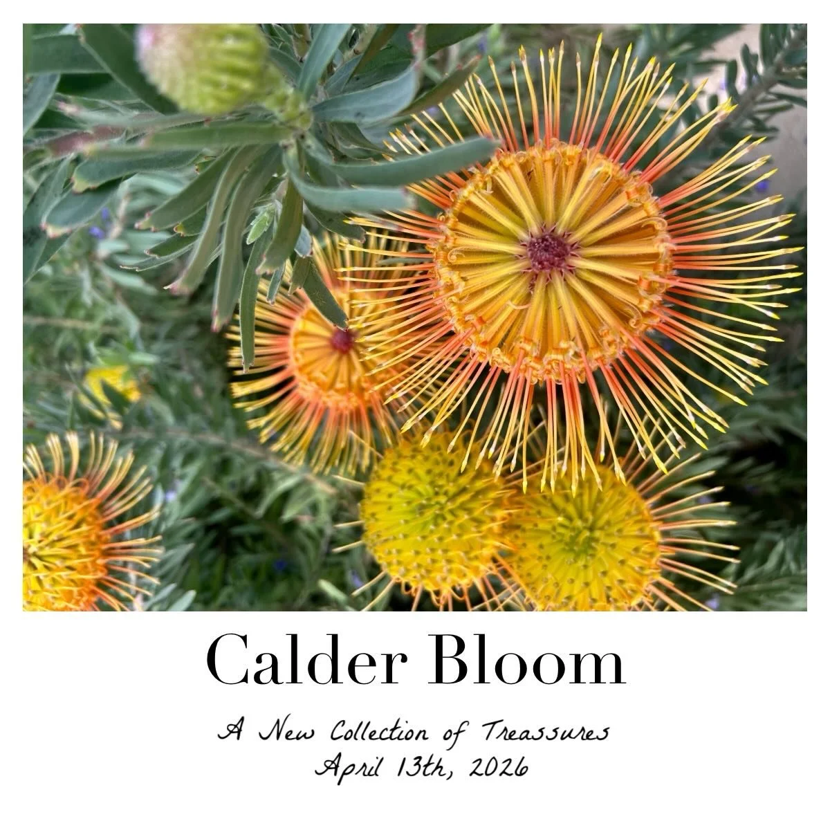 ⠀
We&rsquo;re back in town and excited to share our new collection of treasures! ⠀
Monday April 13th⠀
Cheers to Spring ✌️❤️