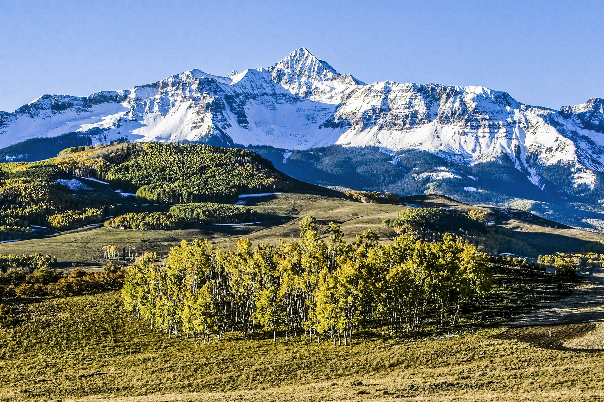 RIDGWAY_photo.jpg
