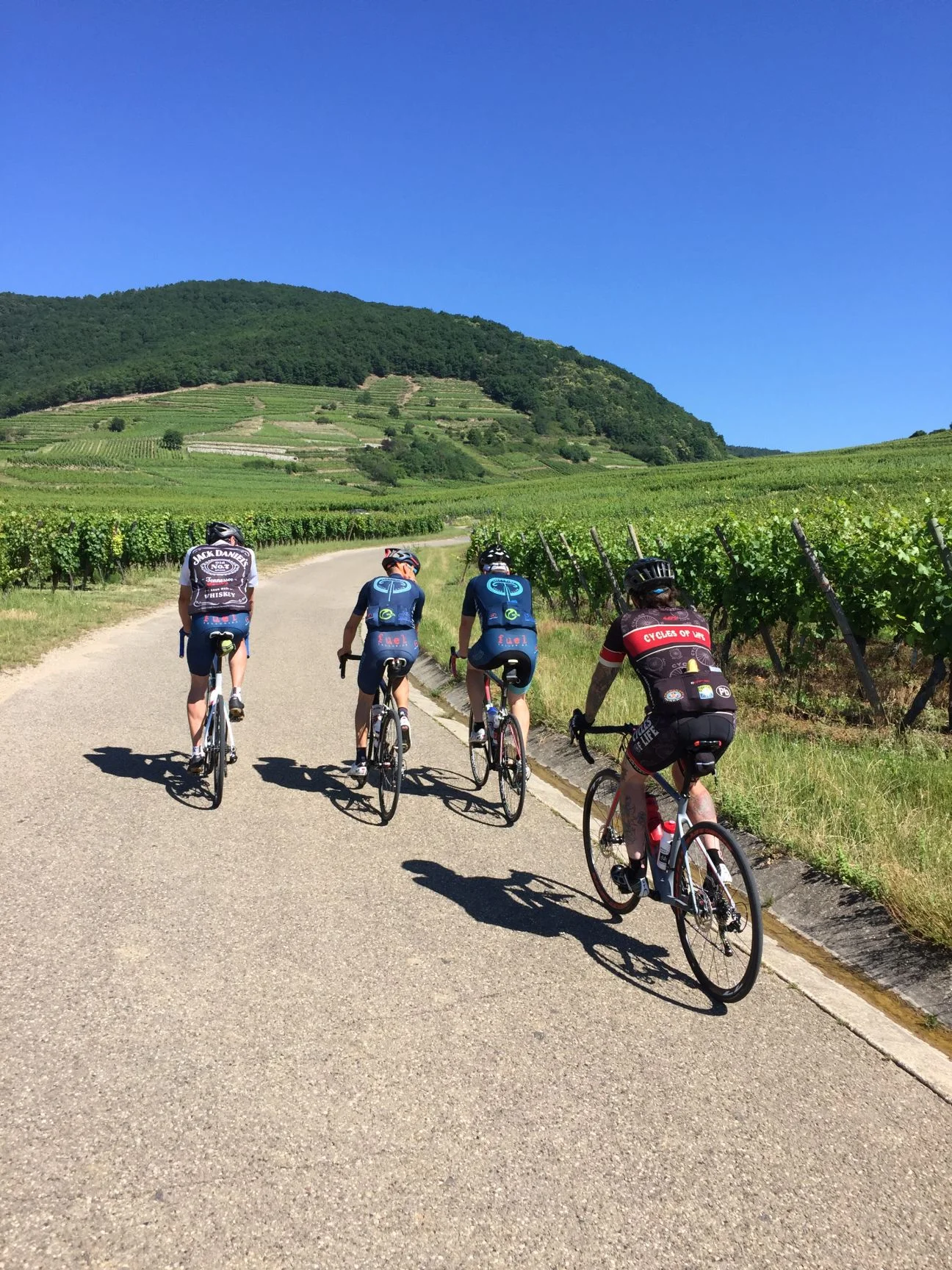 Through vineyards we rode and from its fruit we drank