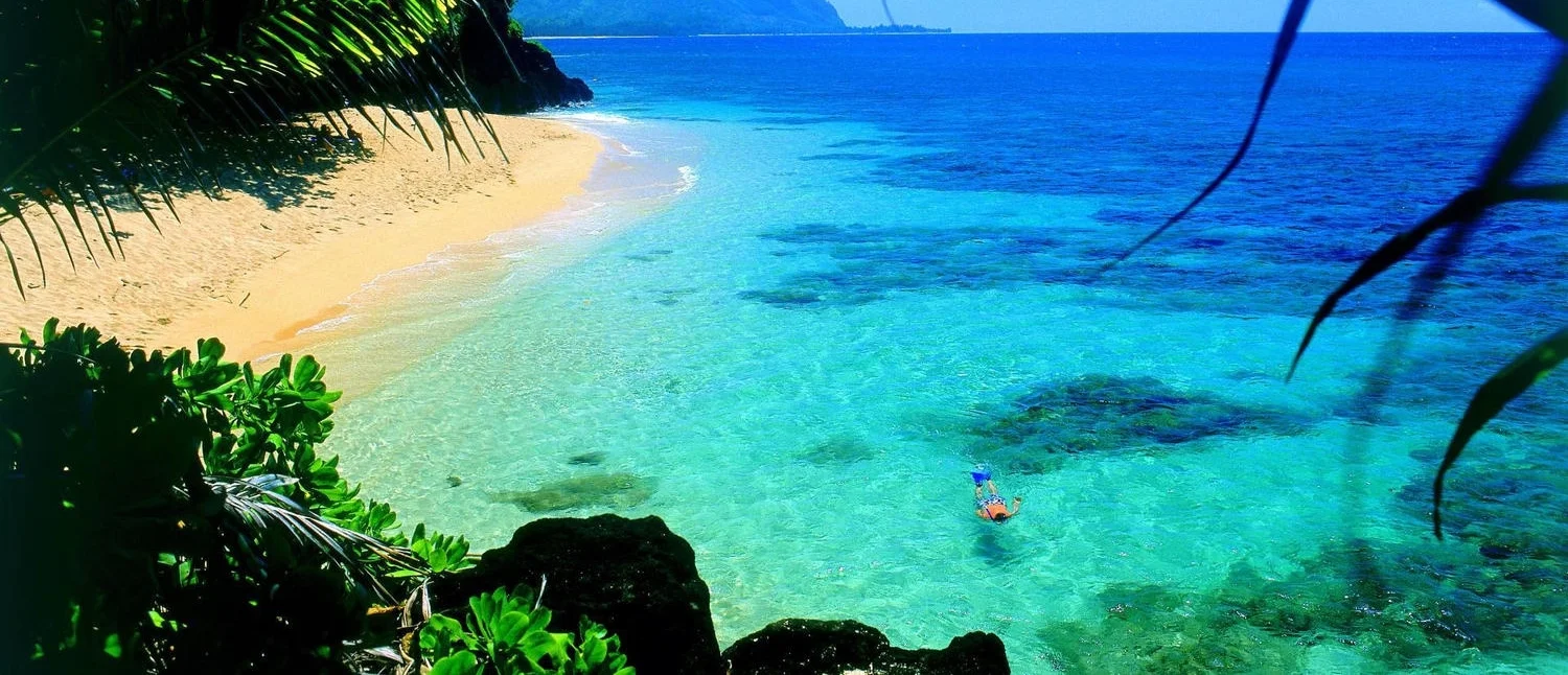 Snorkel-Hawaii.jpg