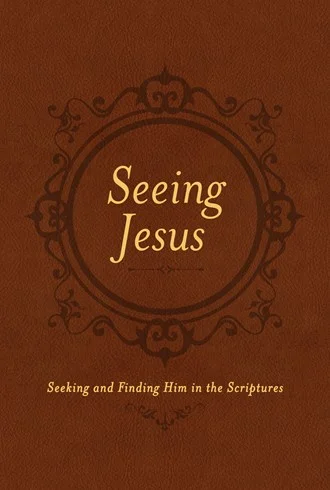 Seeing Jesus cover.jpg