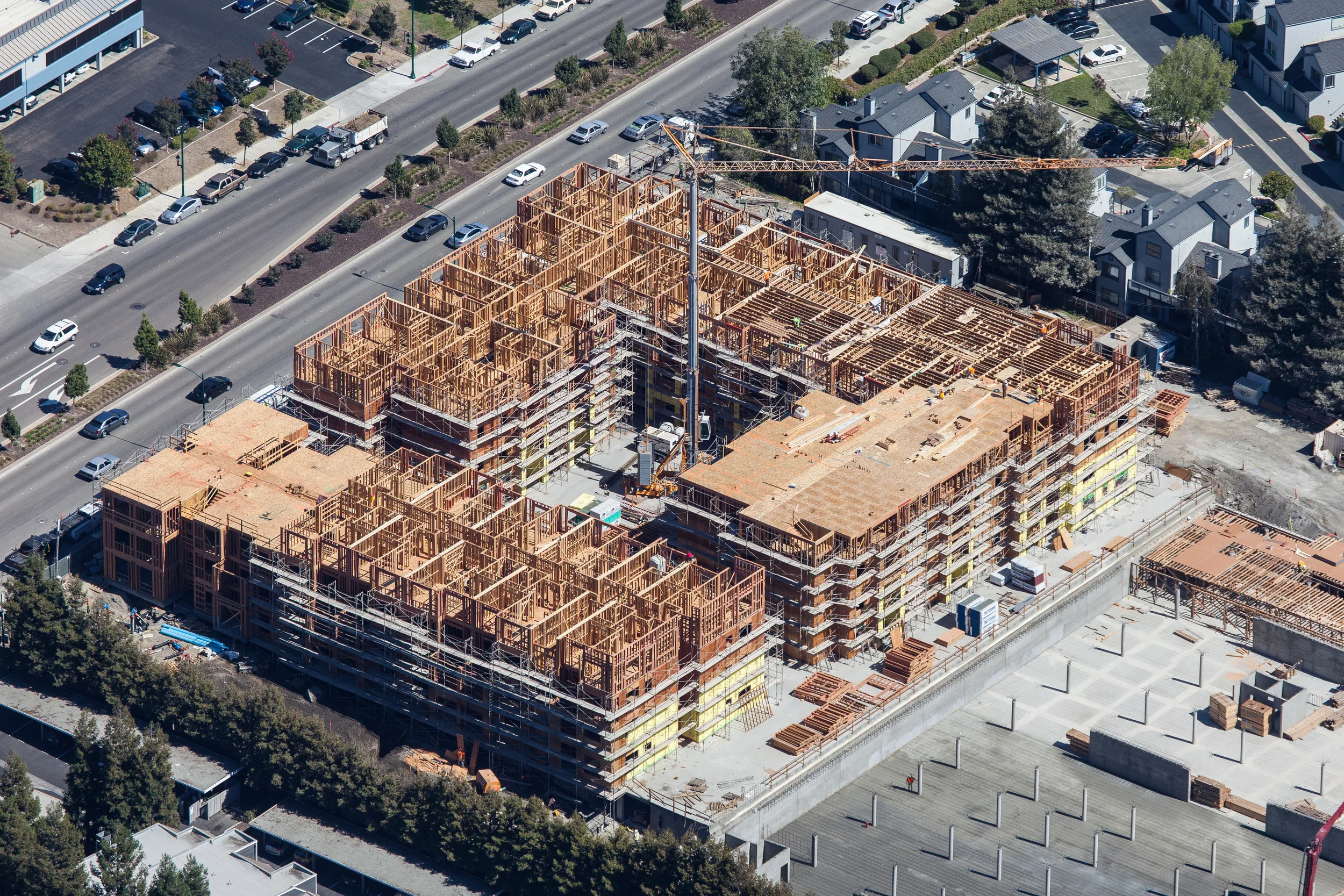 Hayward_IMG_4905.jpg
