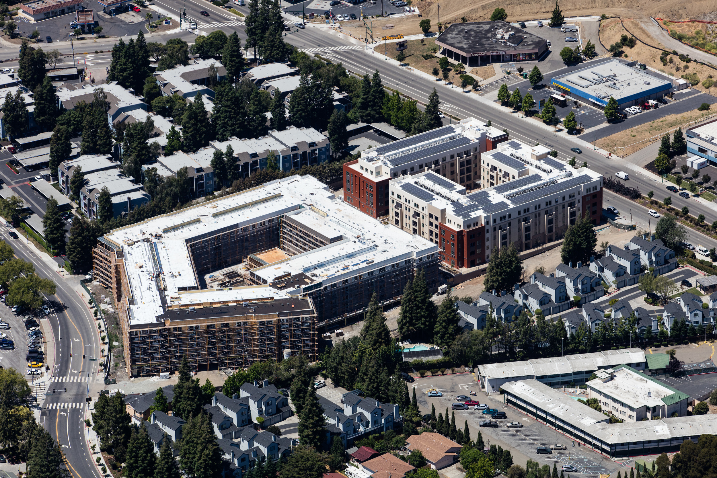 Hayward_1Y1A5914.jpg