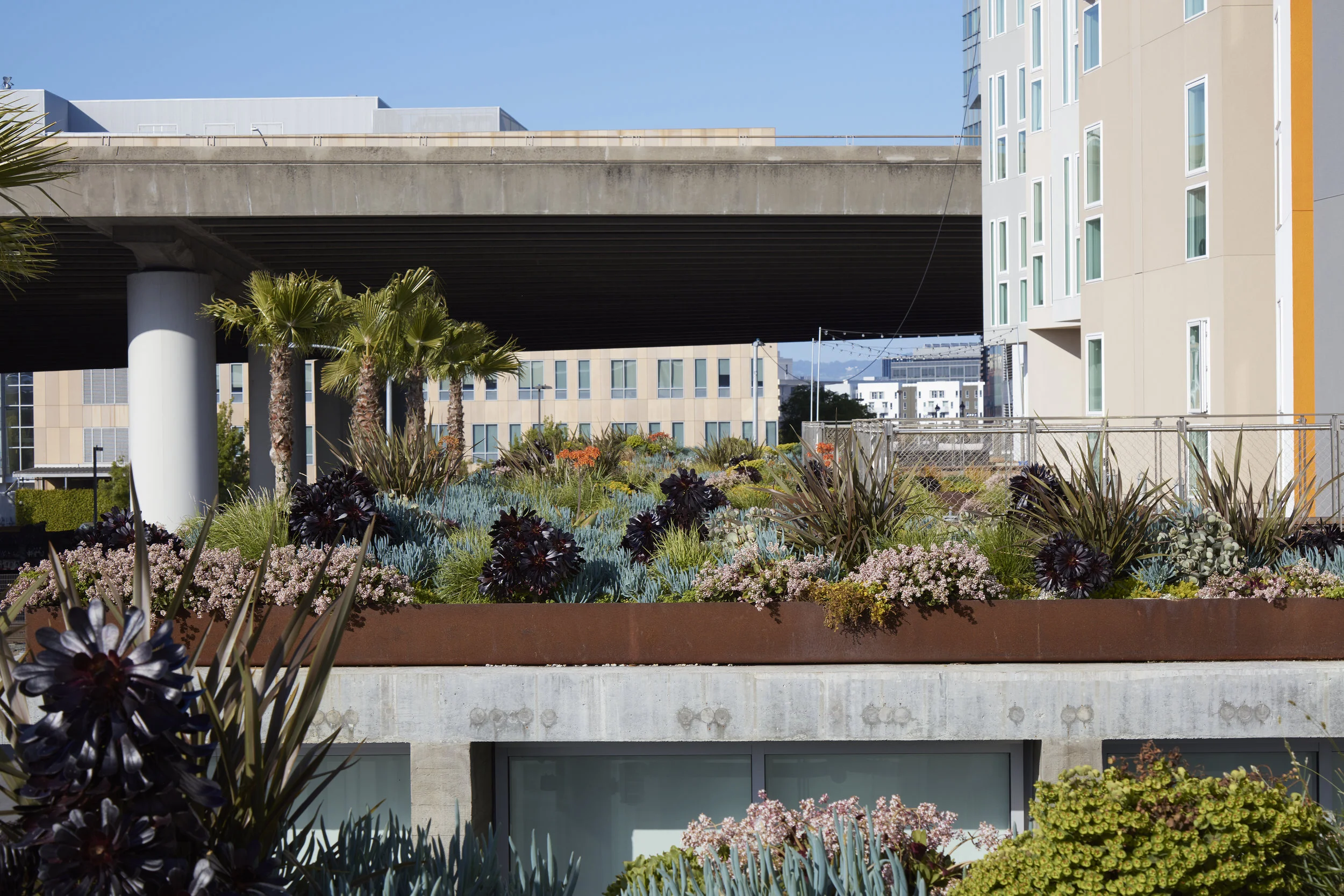 20311_Potrero1010_©BruceDamonte_35.jpg