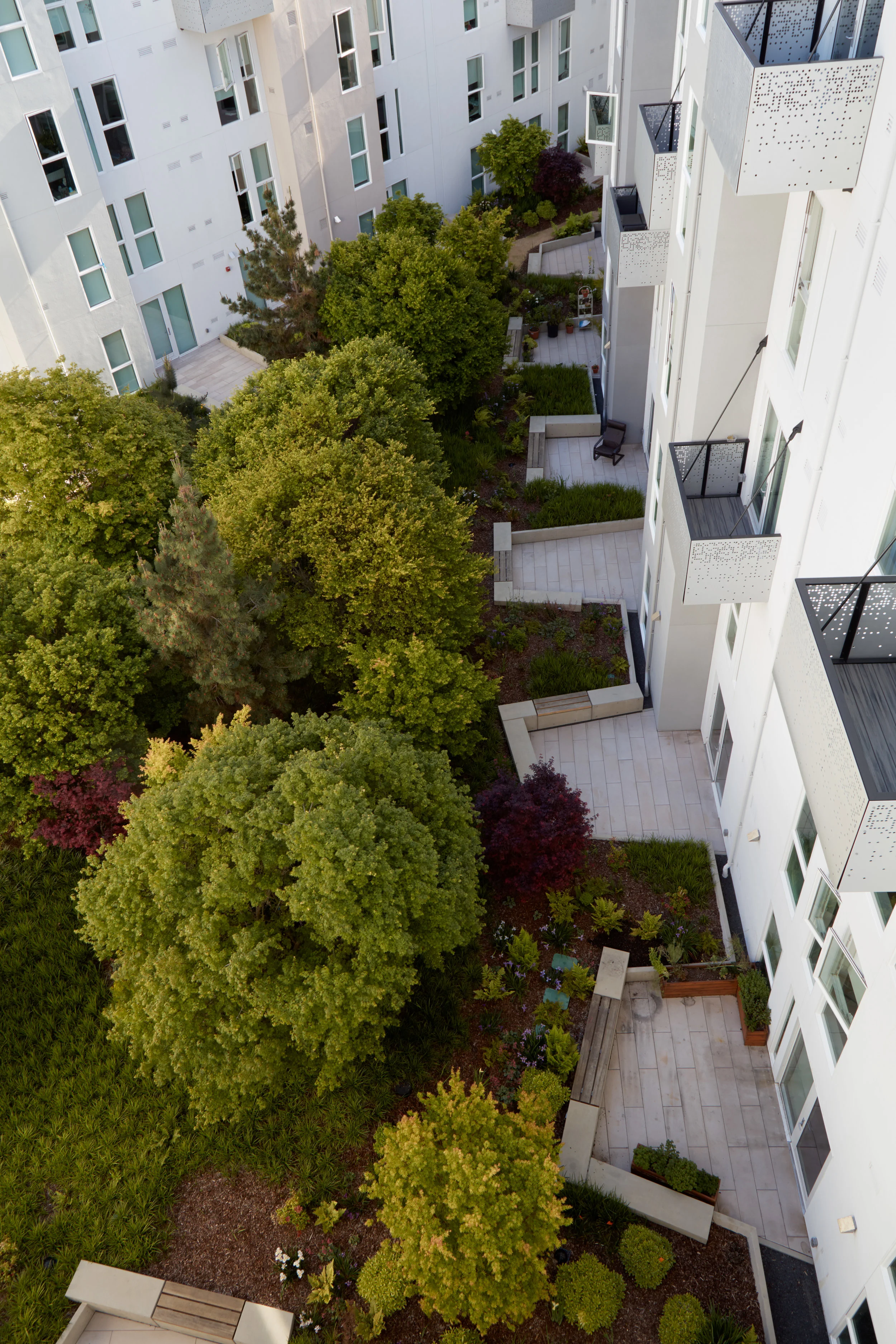 20311_Potrero1010_©BruceDamonte_09.jpg