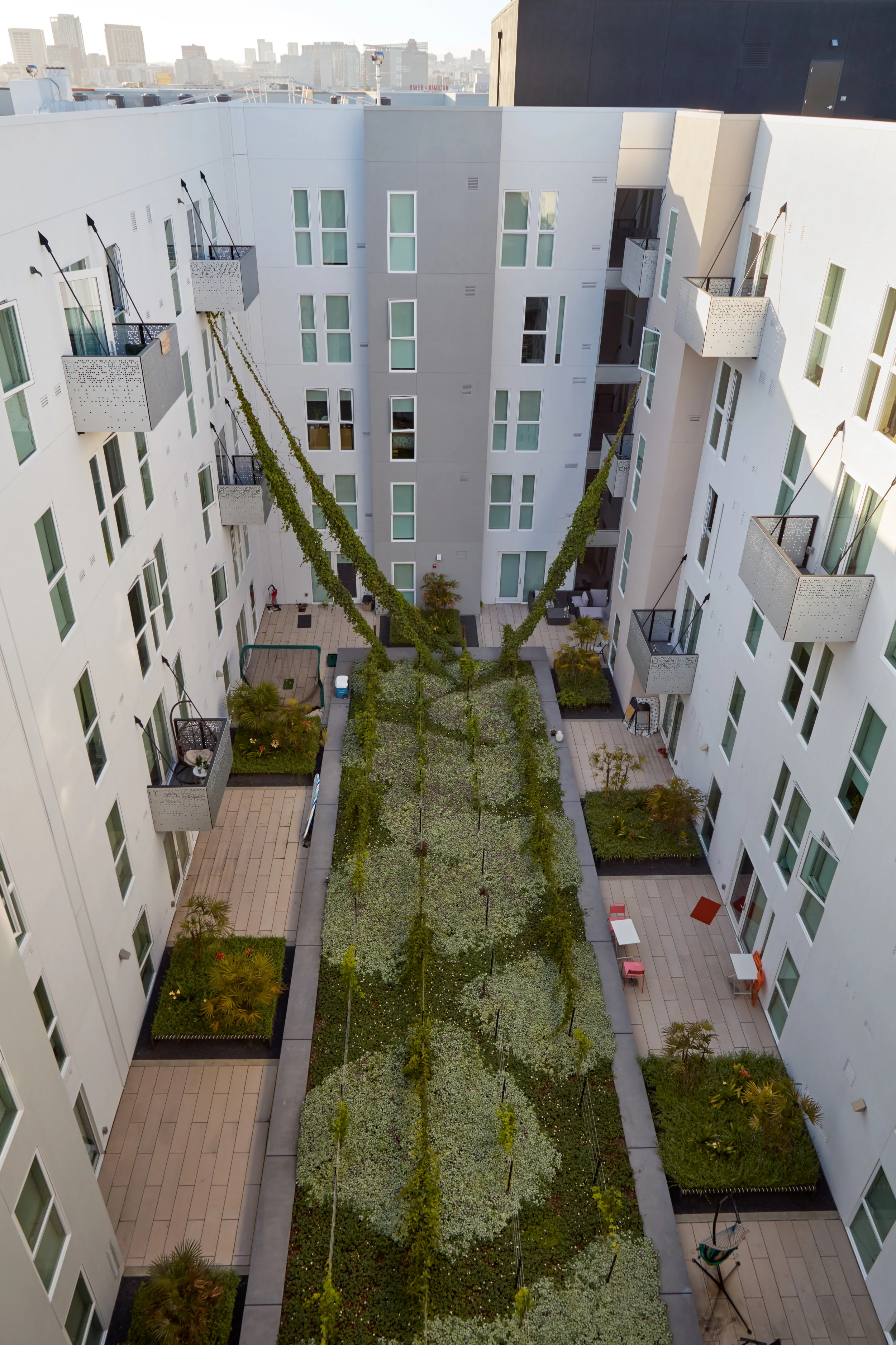 20311_Potrero1010_©BruceDamonte_10.jpg