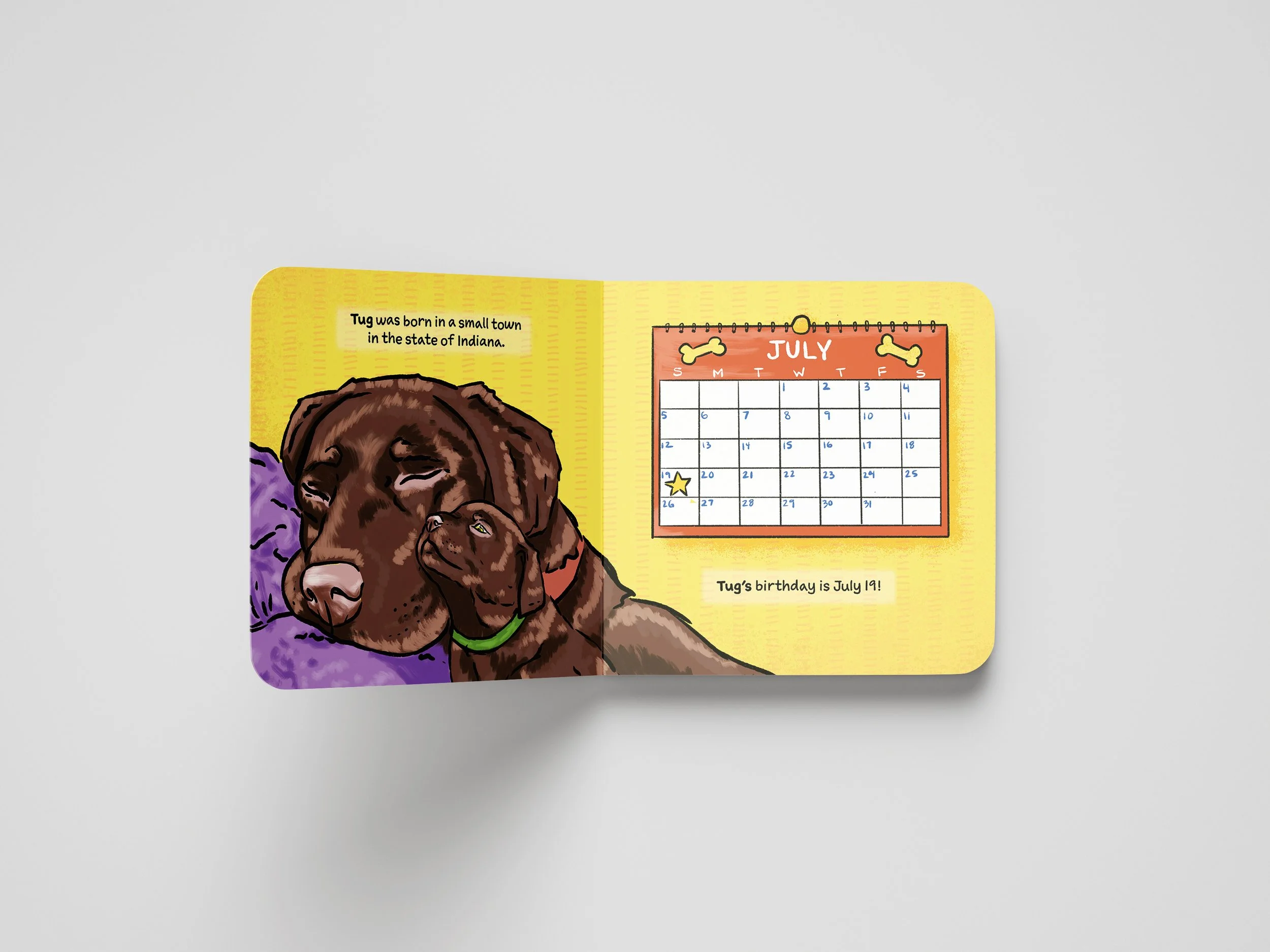 TUG_Book_Mockup_3 copy.jpg