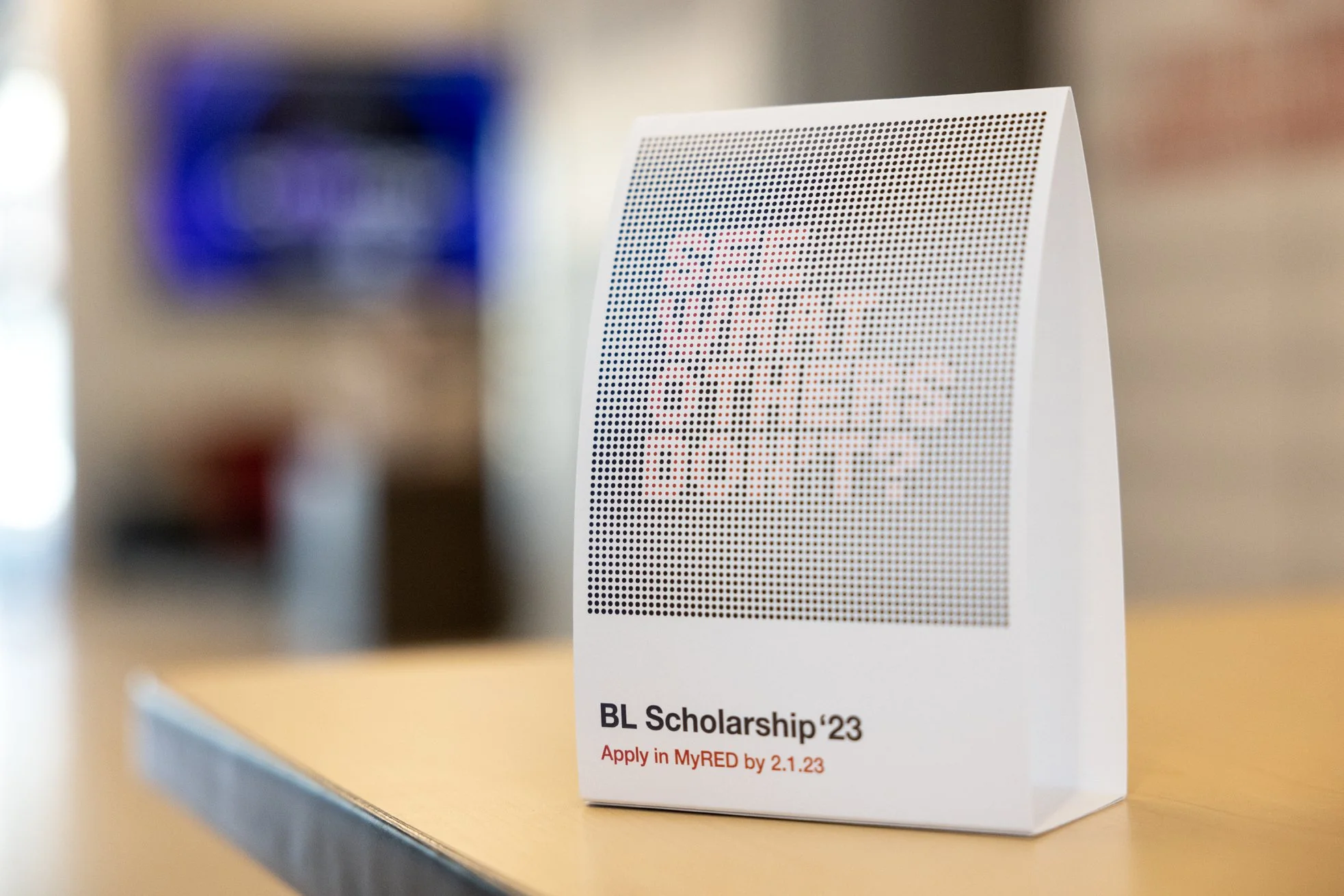 BL-Y23-DiversityScholarship copy_Page_03.jpg