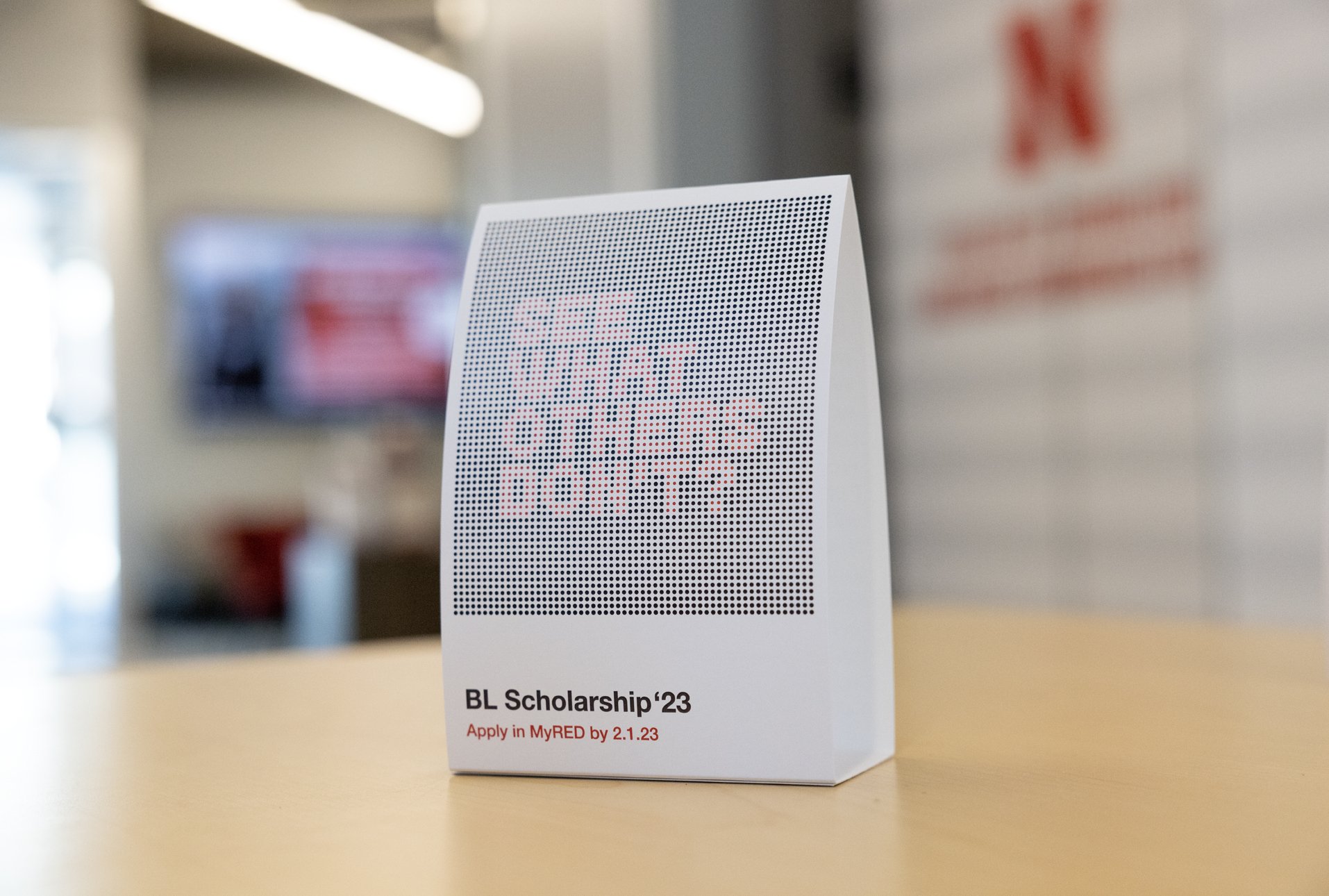 BL-Y23-DiversityScholarship copy_Page_04.jpg