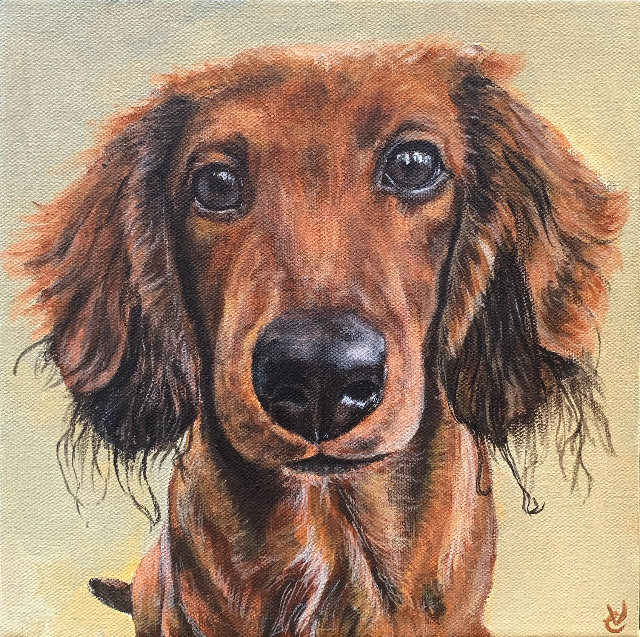 weiner dog.jpg