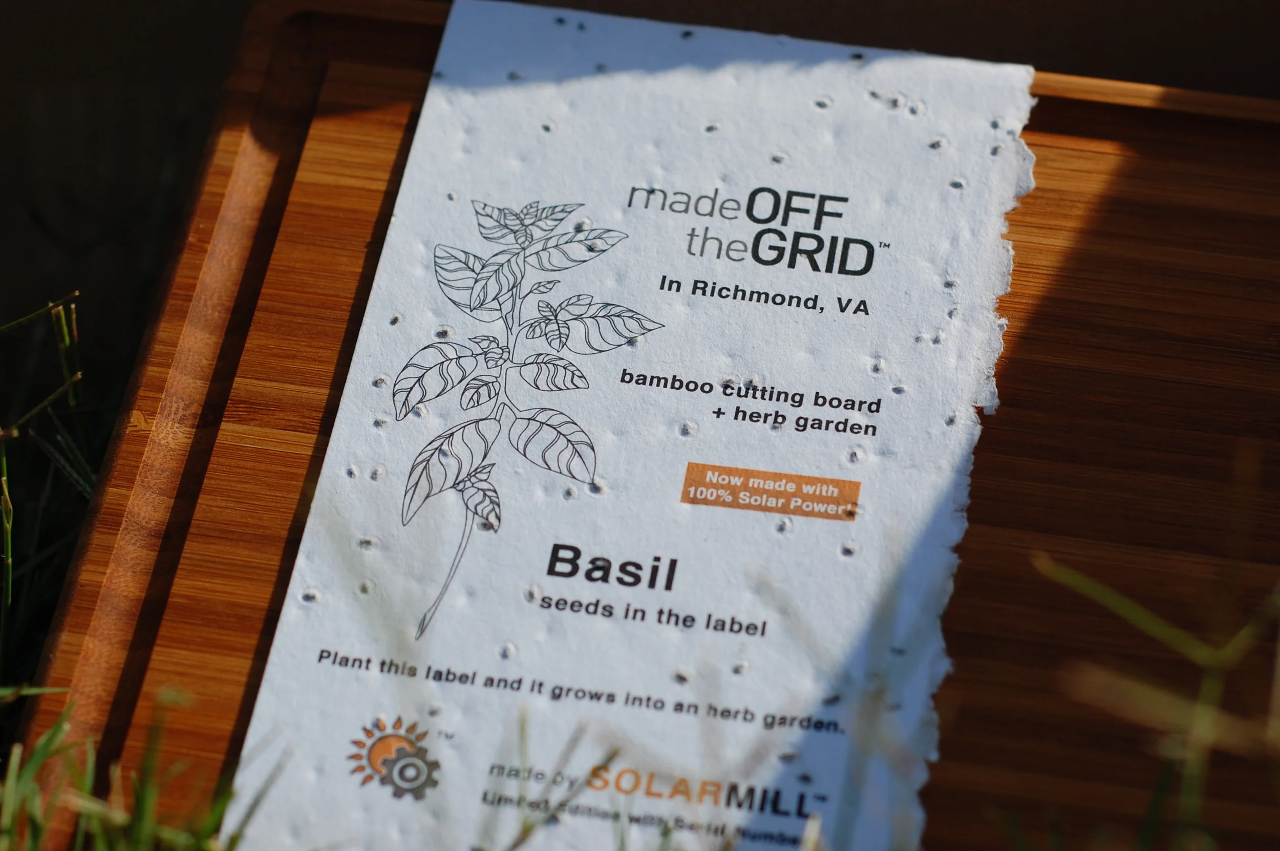 Outside with Sunlight and Grass.JPG