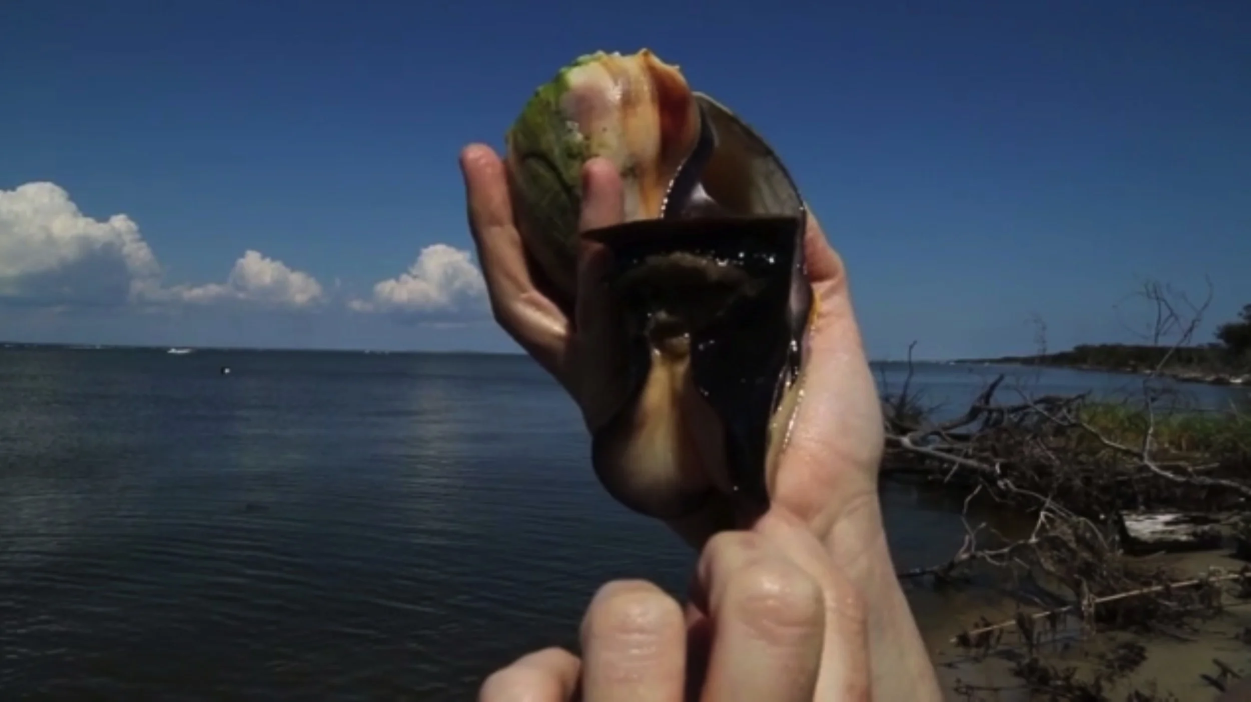 Jeanine Oleson - Still from " Actually, blue is not a warm color" , 2014, video, 10:00 mins 