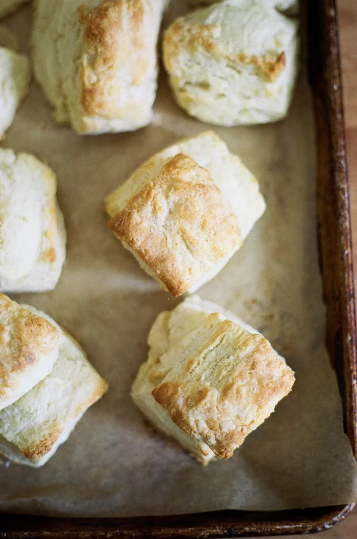 Flaky Ricotta Biscuits — Apt. 2B Baking Co.