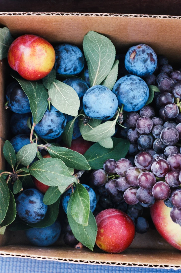 plum macaroon cake | apt. 2b baking co.