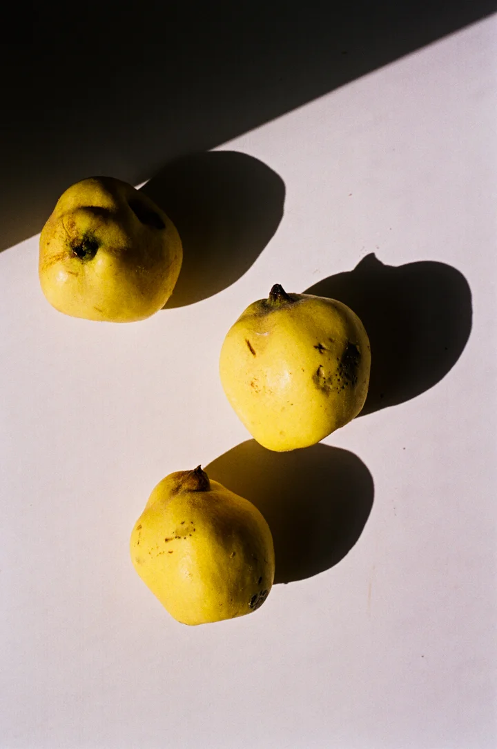 roasted quince crumb cake | apt 2b baking co