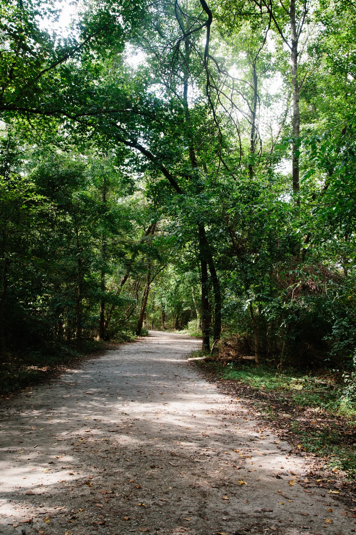 virginia | apt 2b baking co