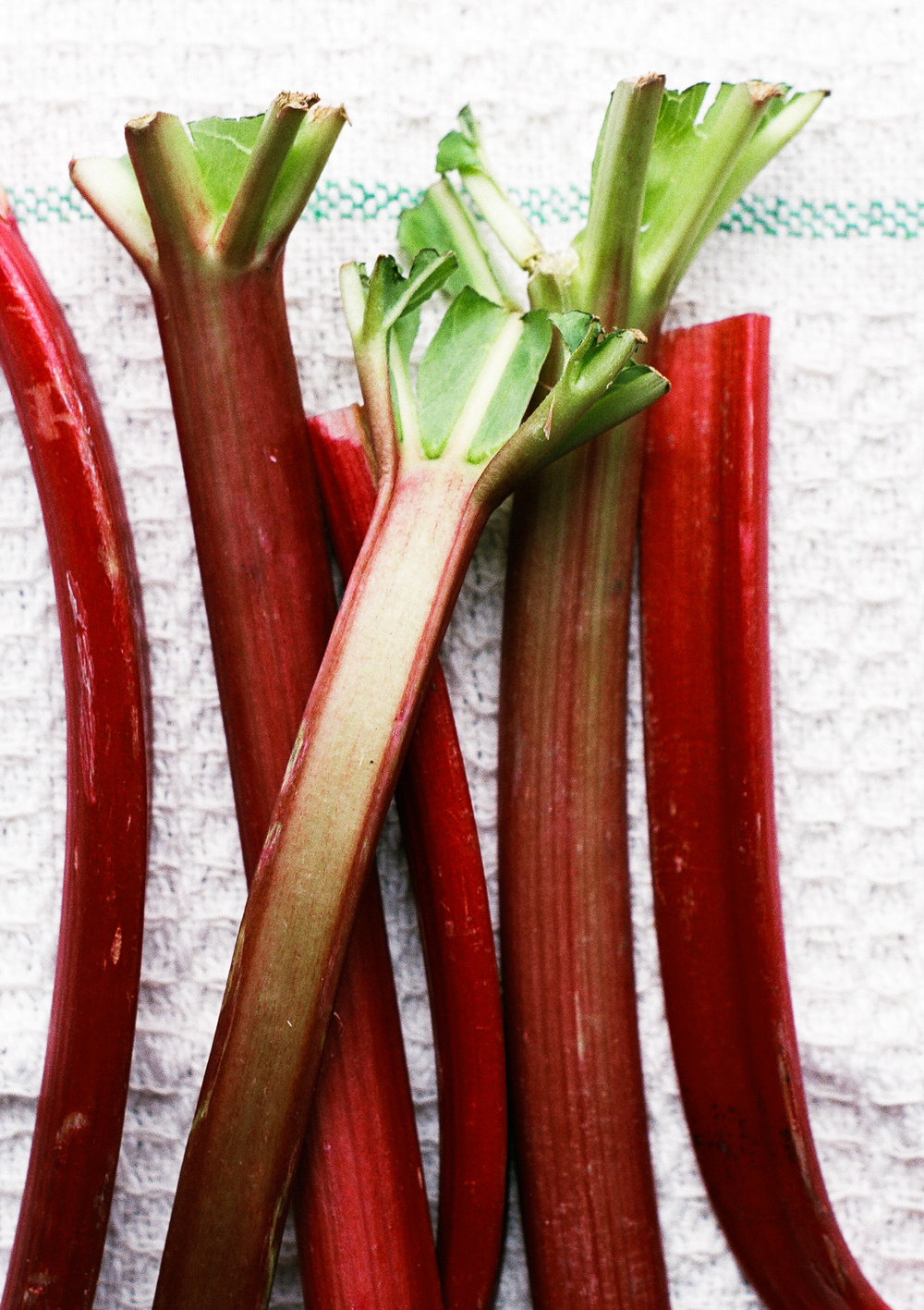 vegan rhubarb ripple (1 of 7).jpg